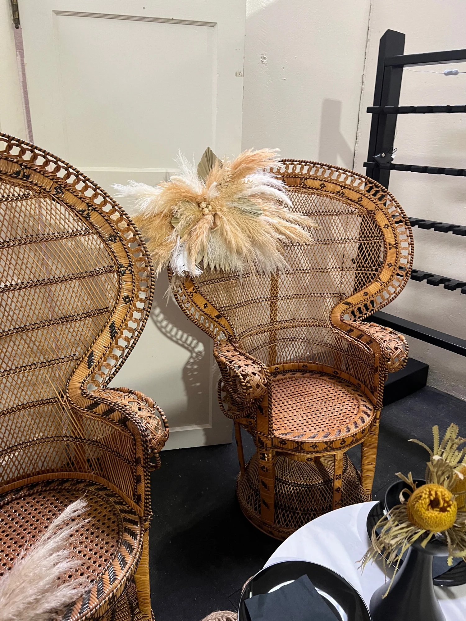 Morticia Gomez Peacock Chairs — Dash of Darling Party Co