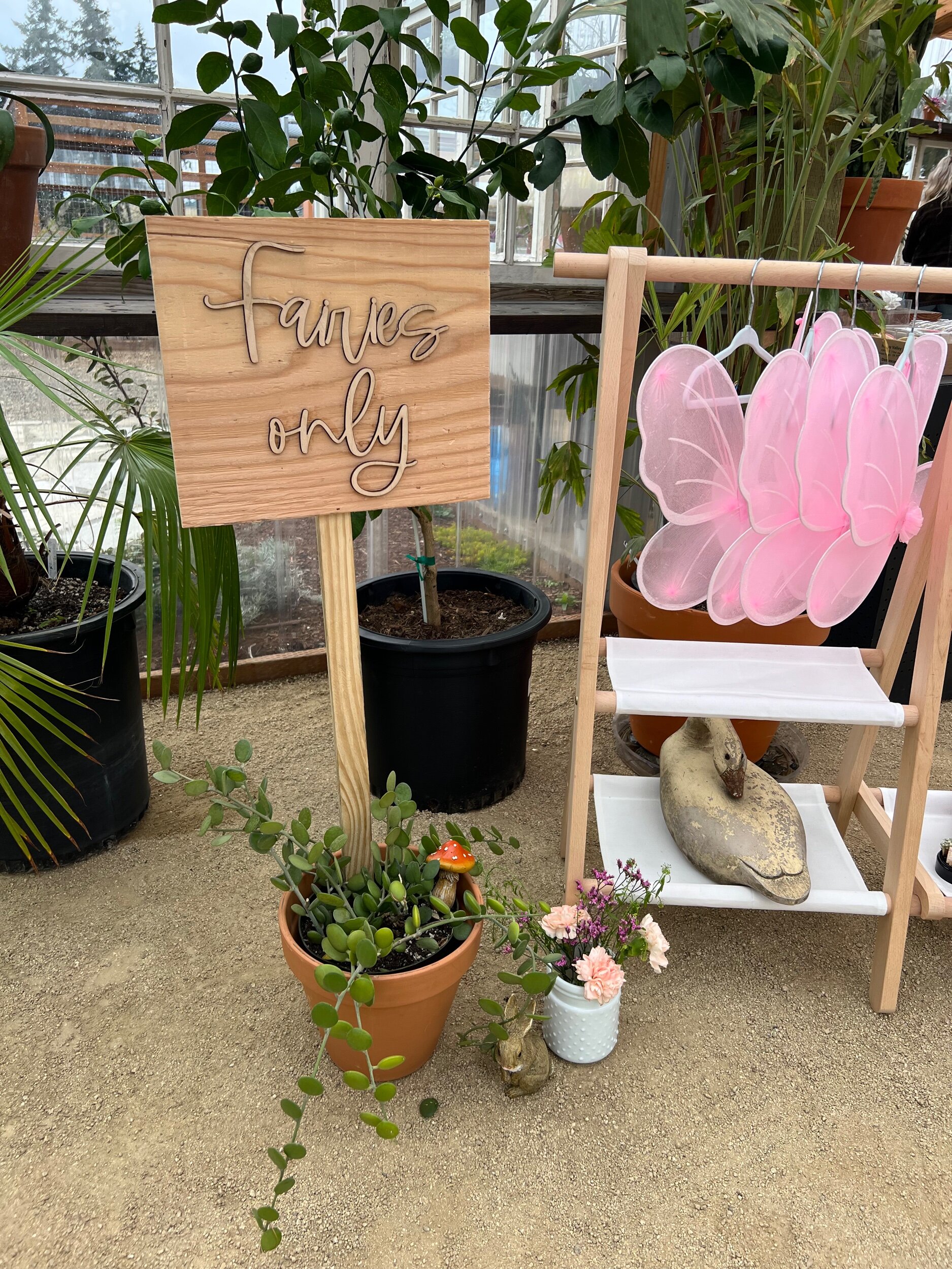 3’ fairies only wood sign
