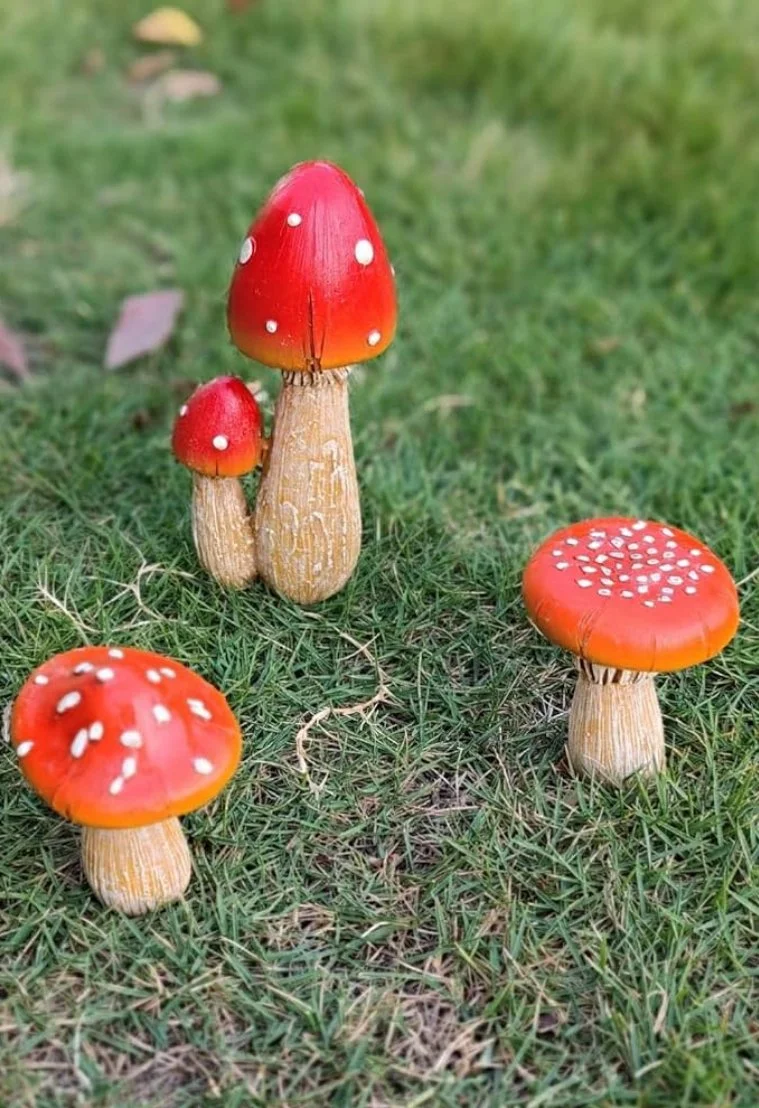 Red + white mushrooms (10)