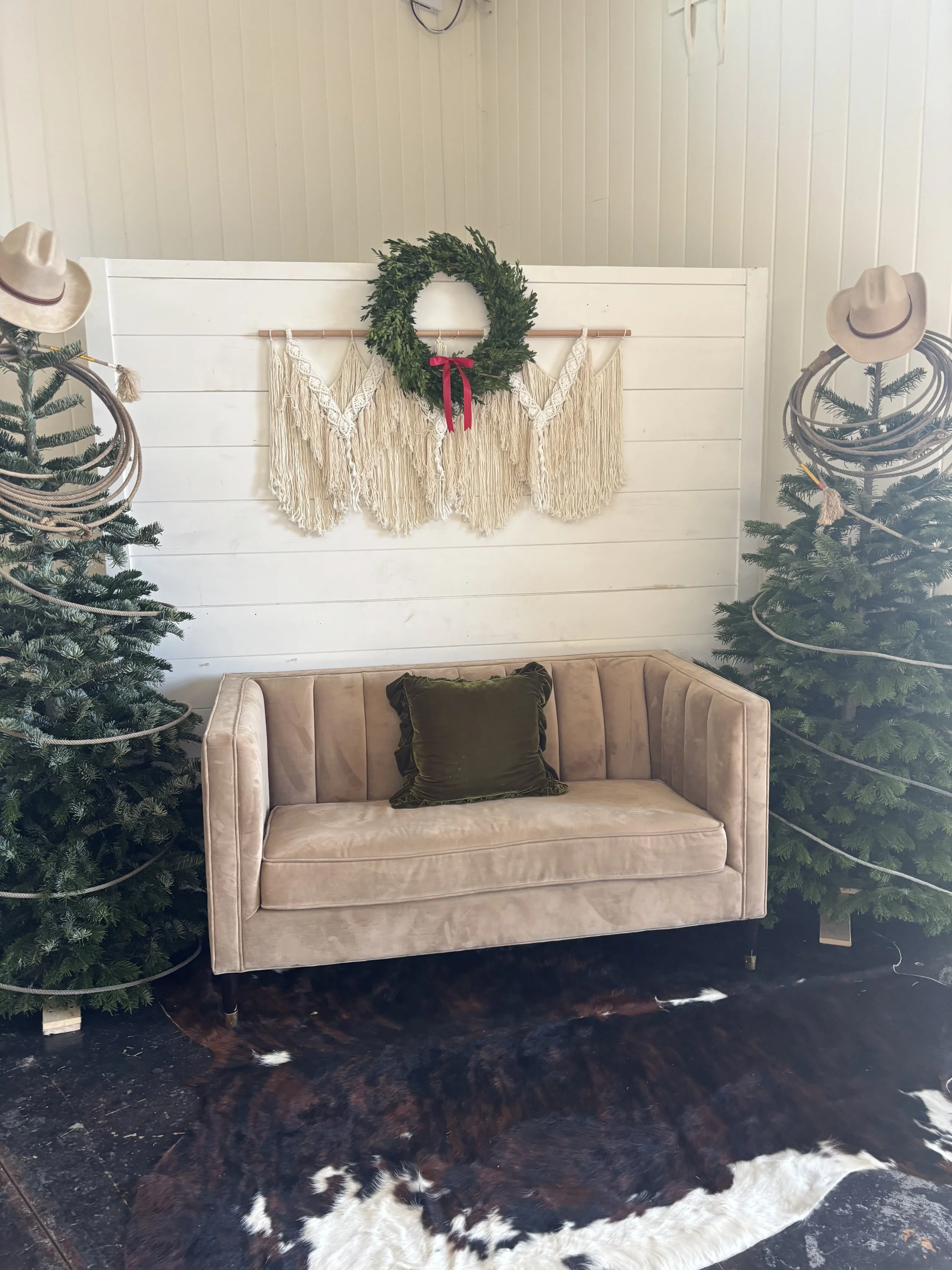 White shiplap backdrop