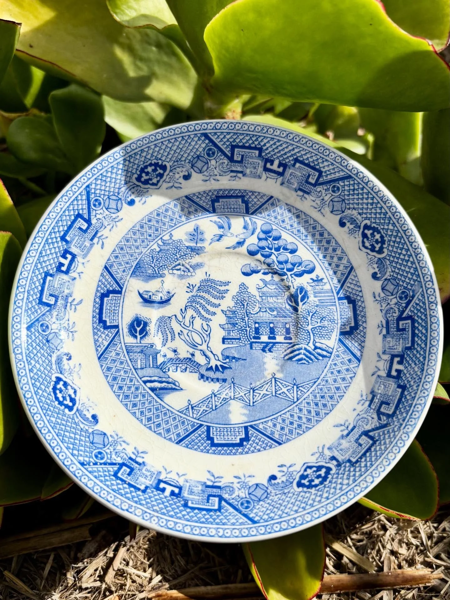 Colour inspiration for my new Chinoiserie collection struck when I spotted this little saucer at our local recycling shop. I paired the timeless blue and white look with a soft summer green. And now I can&rsquo;t stop making new colour ways. Which on