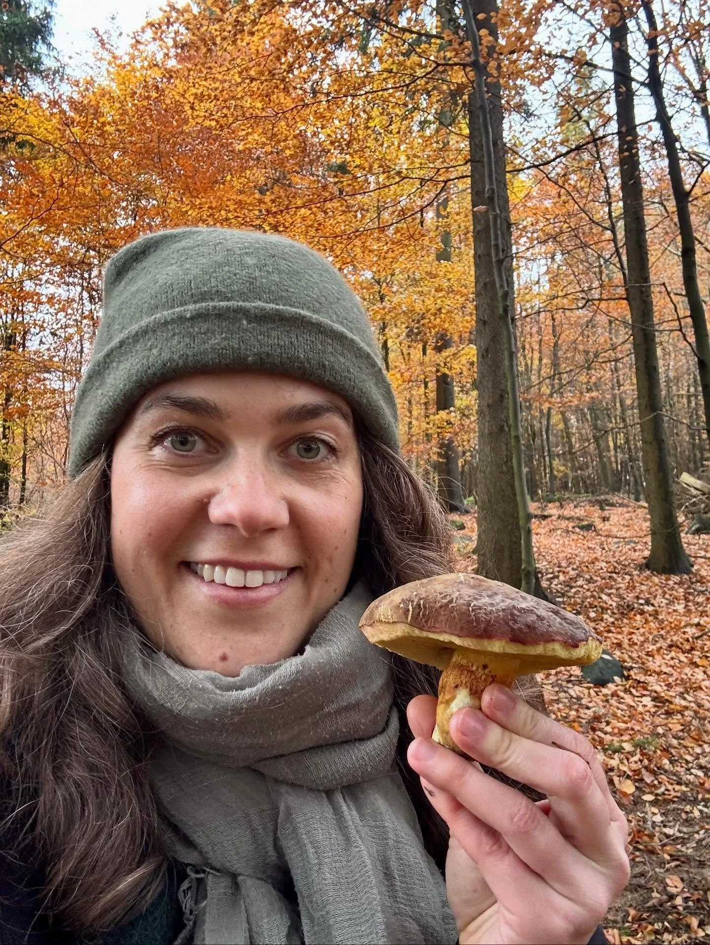 More mushrooms 🍄&zwj;🟫🥳