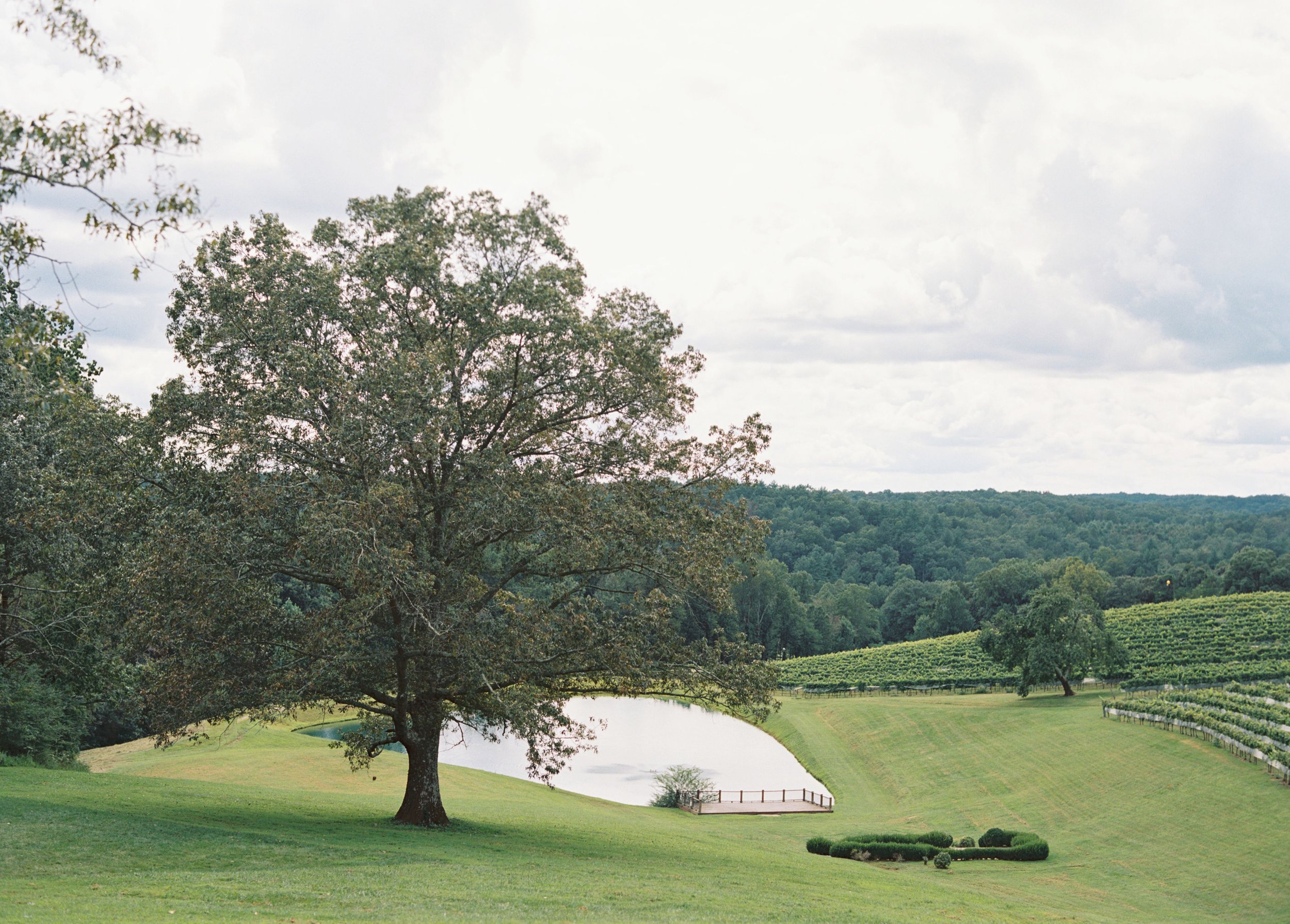 AmandaOliviaPhotography_Cayla_David_MontaluceElopement-6.jpg