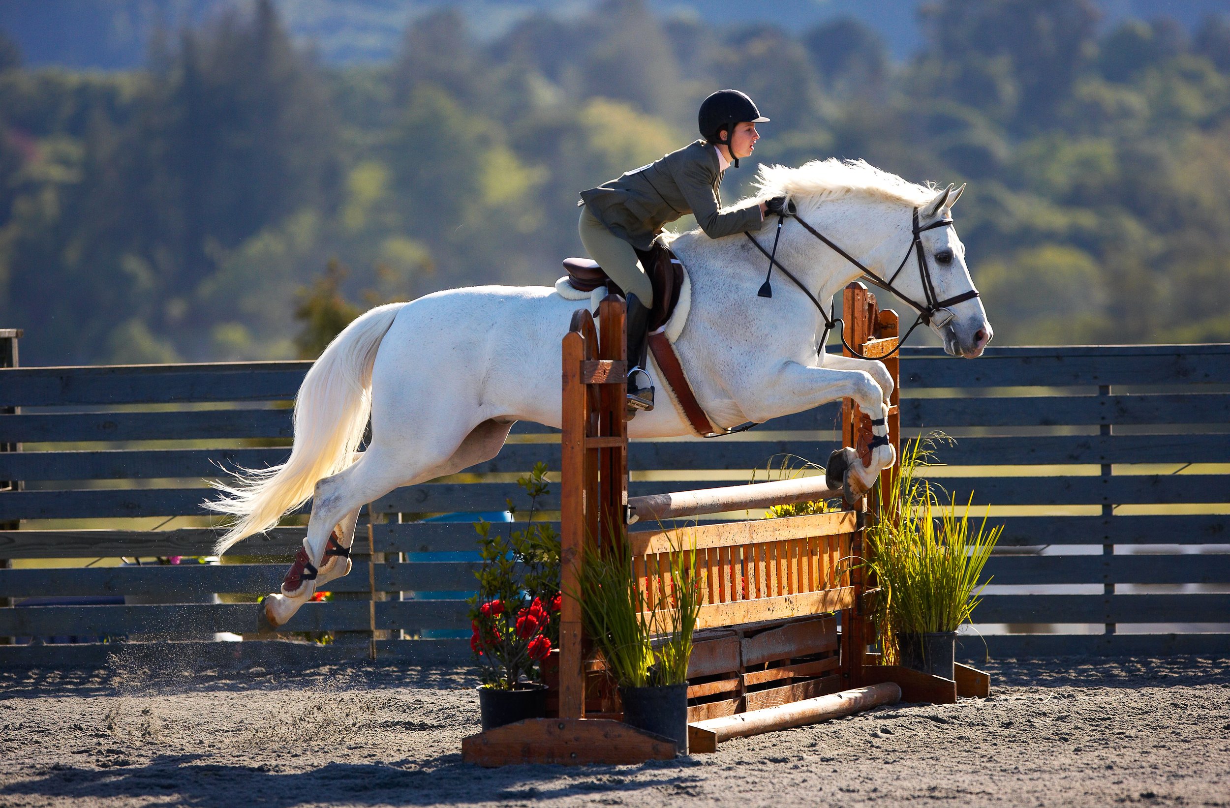 Upcoming Events — The Horse Park at Woodside