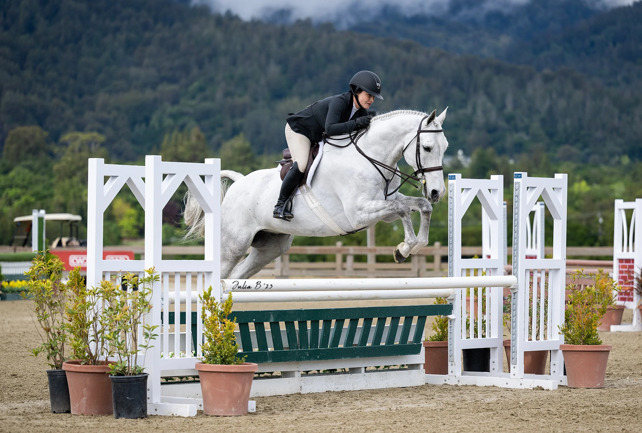 Woodside Riding Chool Upcoming Events — The Horse Park at Woodside
