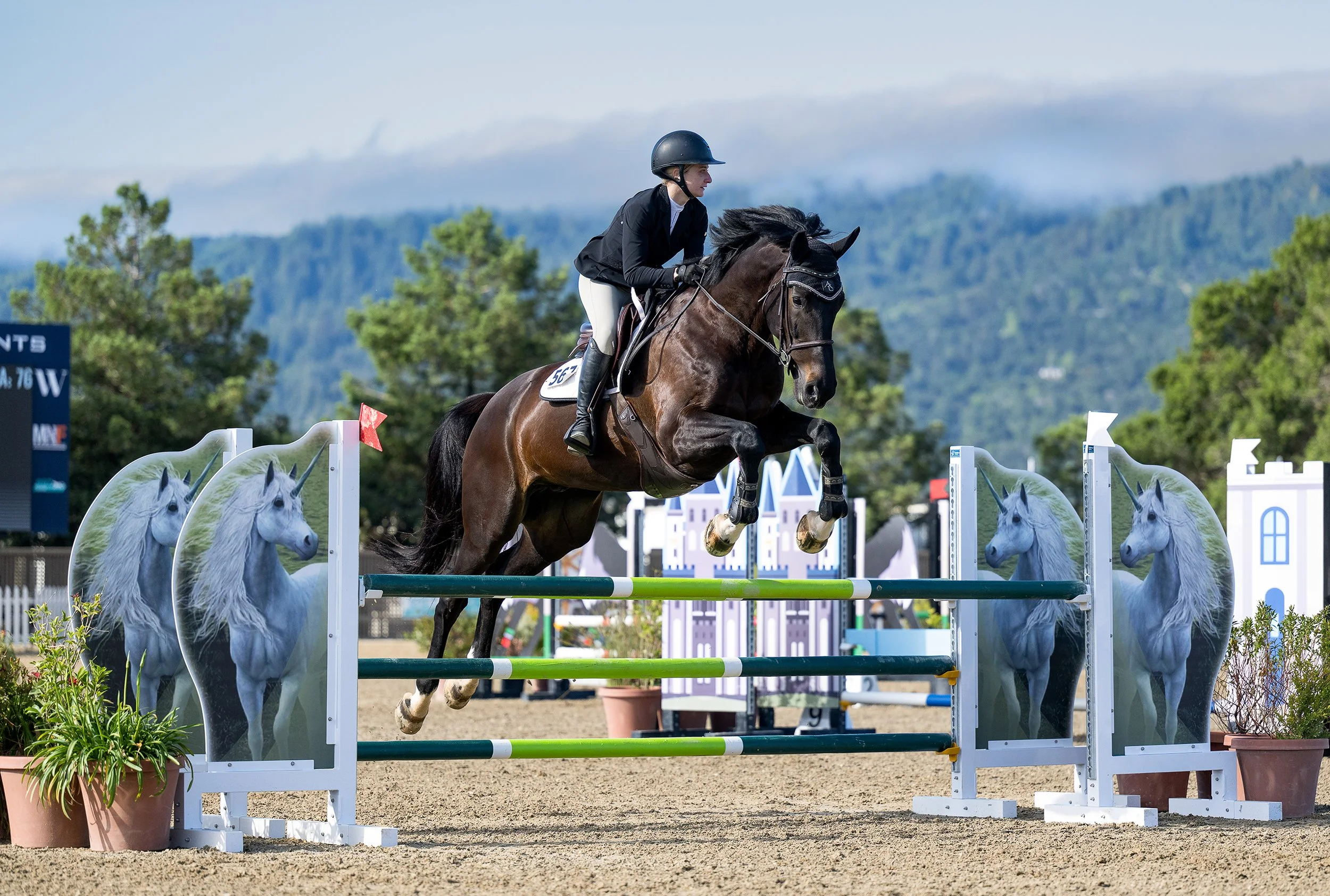 Woodside Riding Chool Upcoming Events | Show Season, Community Events, & More! — The Horse ...