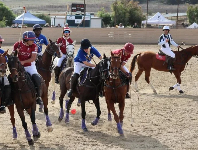 Stanford Polo Alumni Tournament