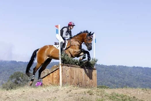 Spring Horse Trials 2026 Recap
