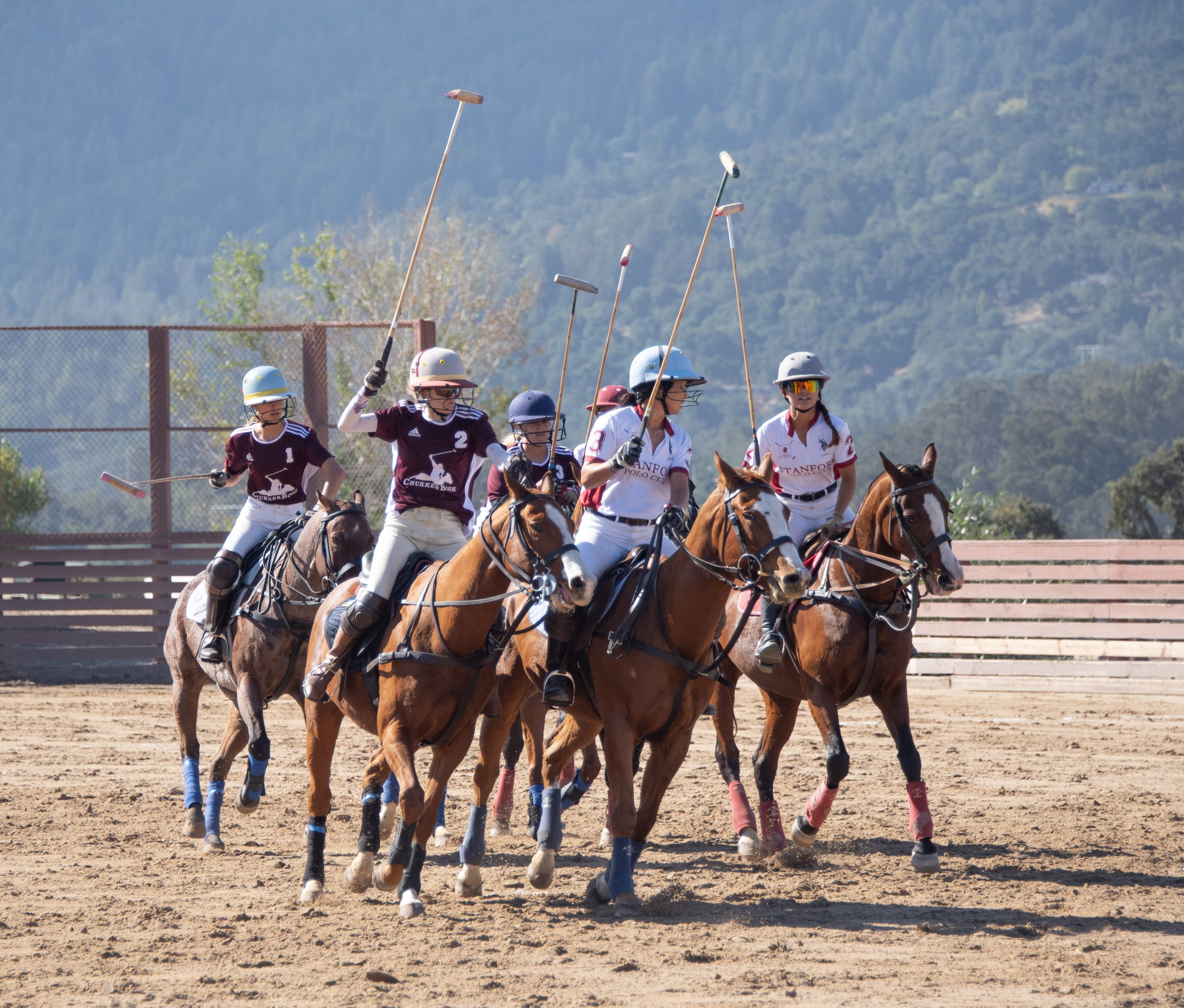 Polo Founders Cup