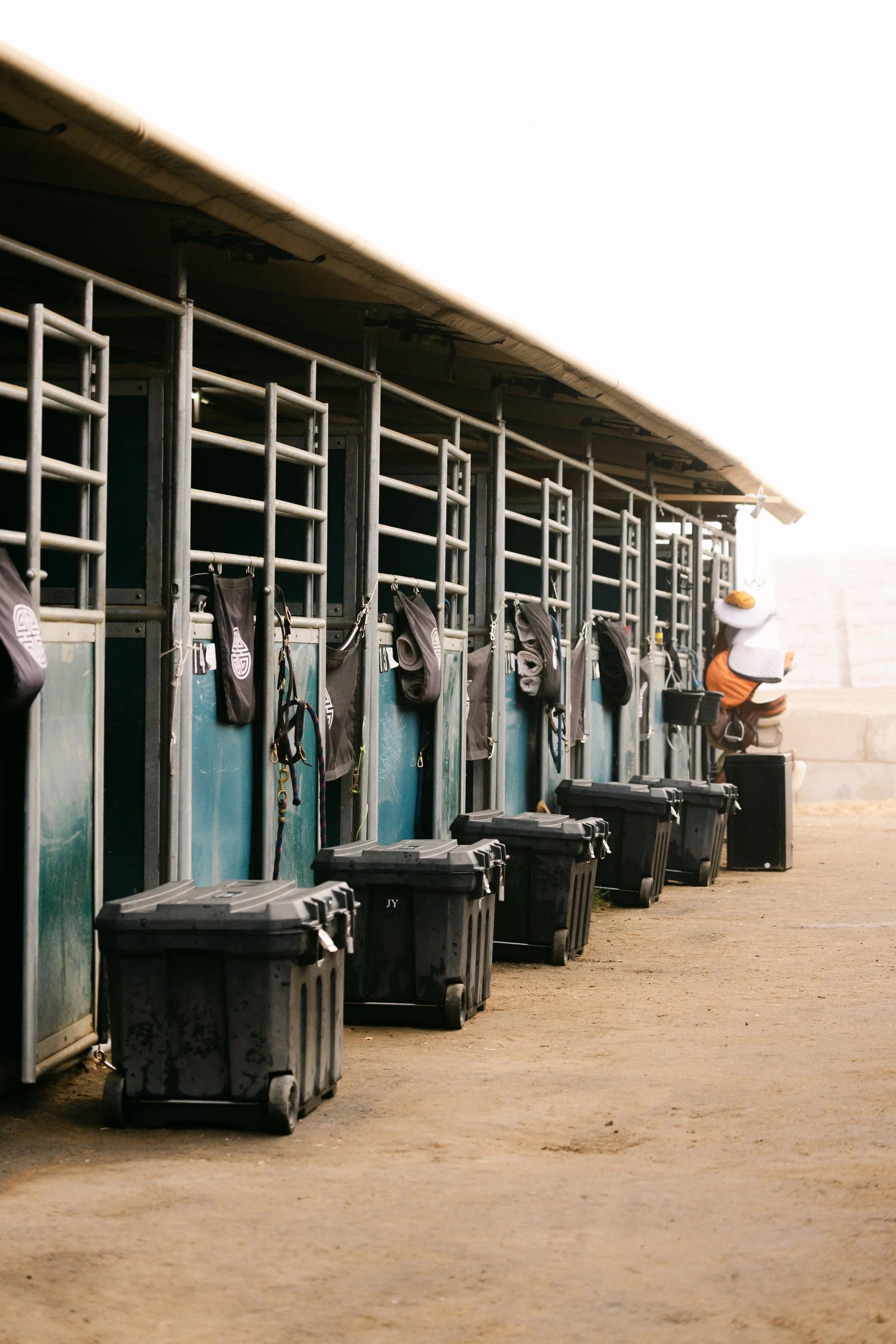 AHP-WSSFallFinale-27Oct2024-HiRes-99.jpg (Copy)