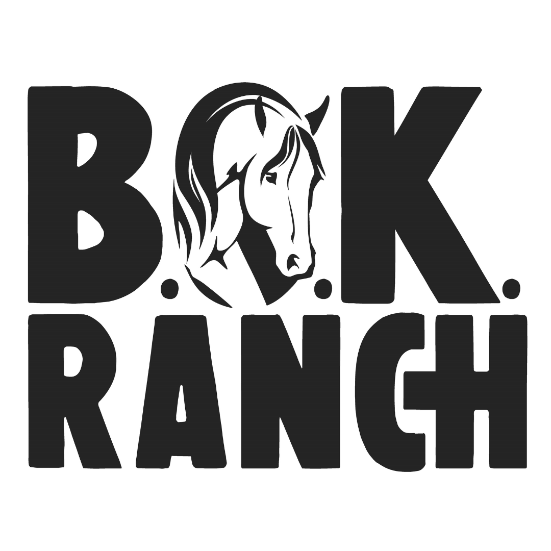 Boarding & Training | Enhance Your Riding Skills Today — The Horse Park ...