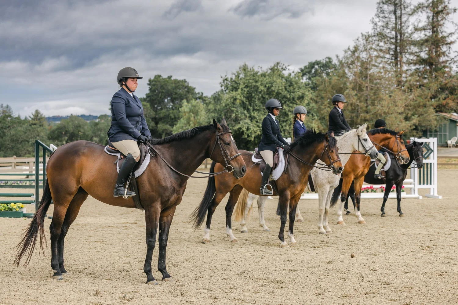 Woodside Riding Chool Boarding & Training | Enhance Your Riding Skills Today — The Horse Park ...