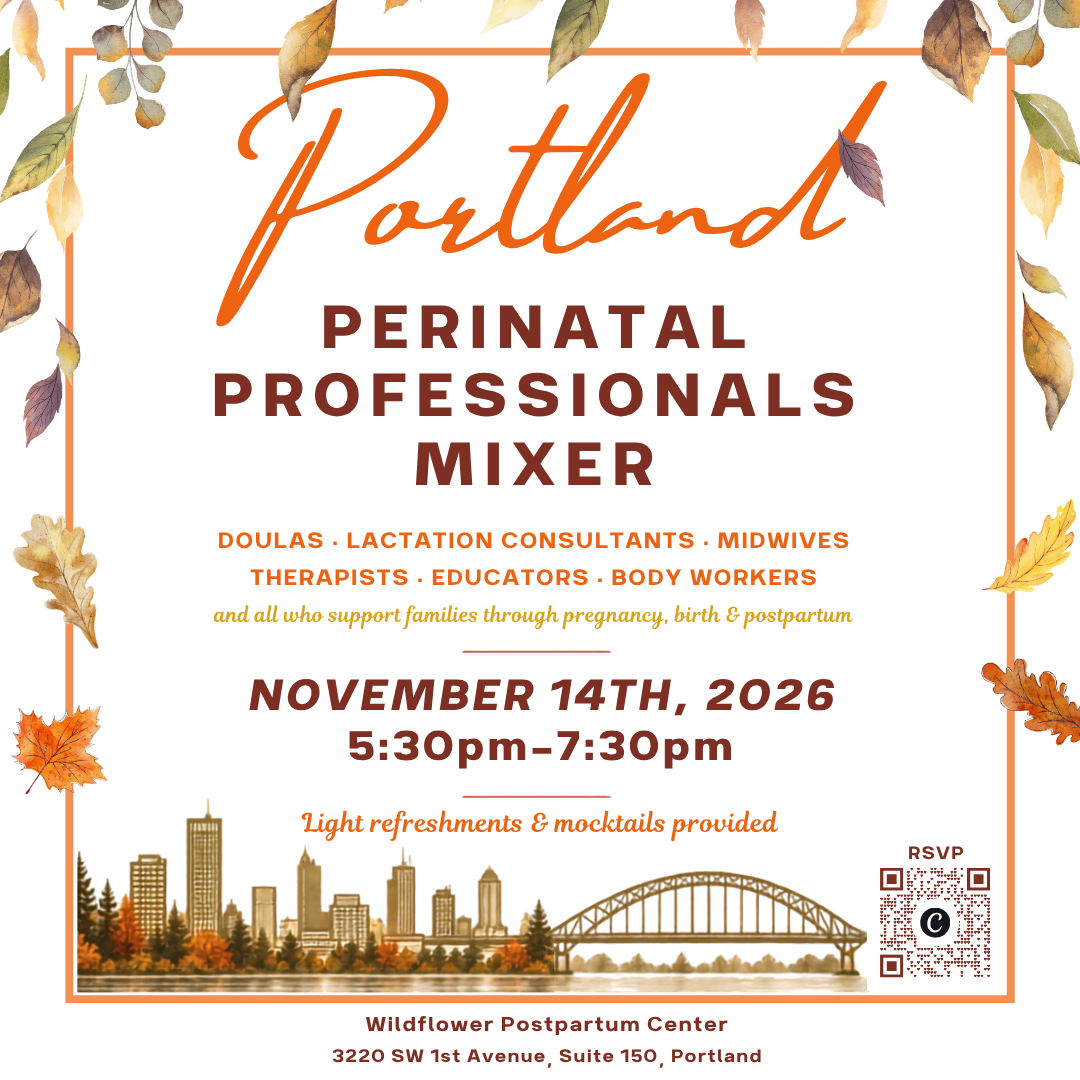 Portland Perinatal Professional Mixer