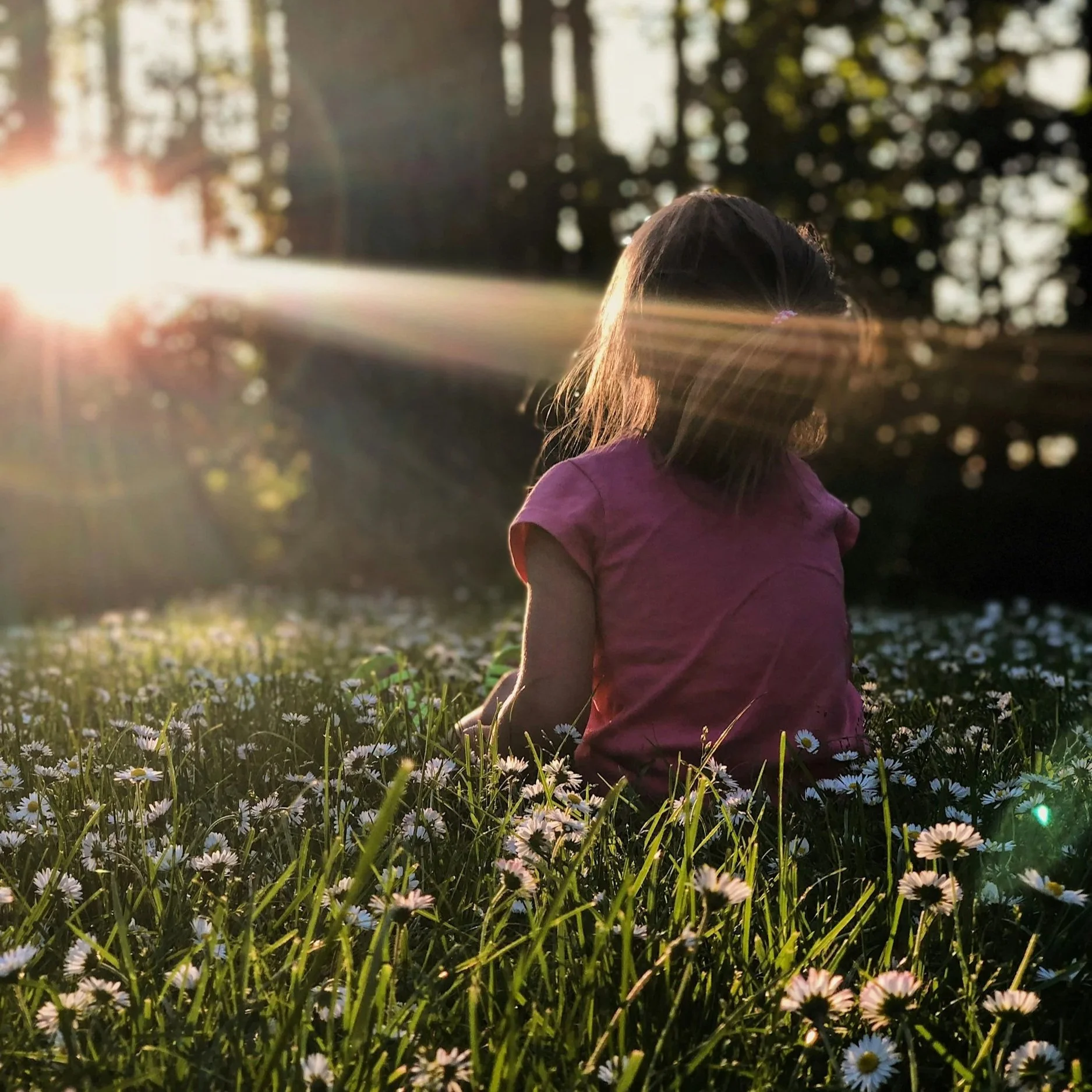 A young girl sitting on a field of small white daisies, with the sunlight shining through trees in the background.