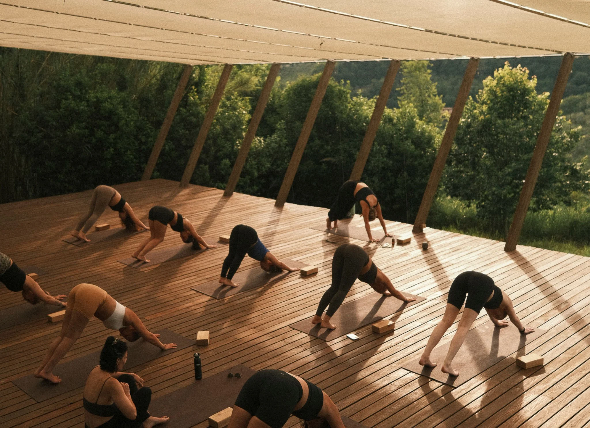 People practicing yoga on wooden floor in an outdoor pavilion with a scenic green forest in the background.