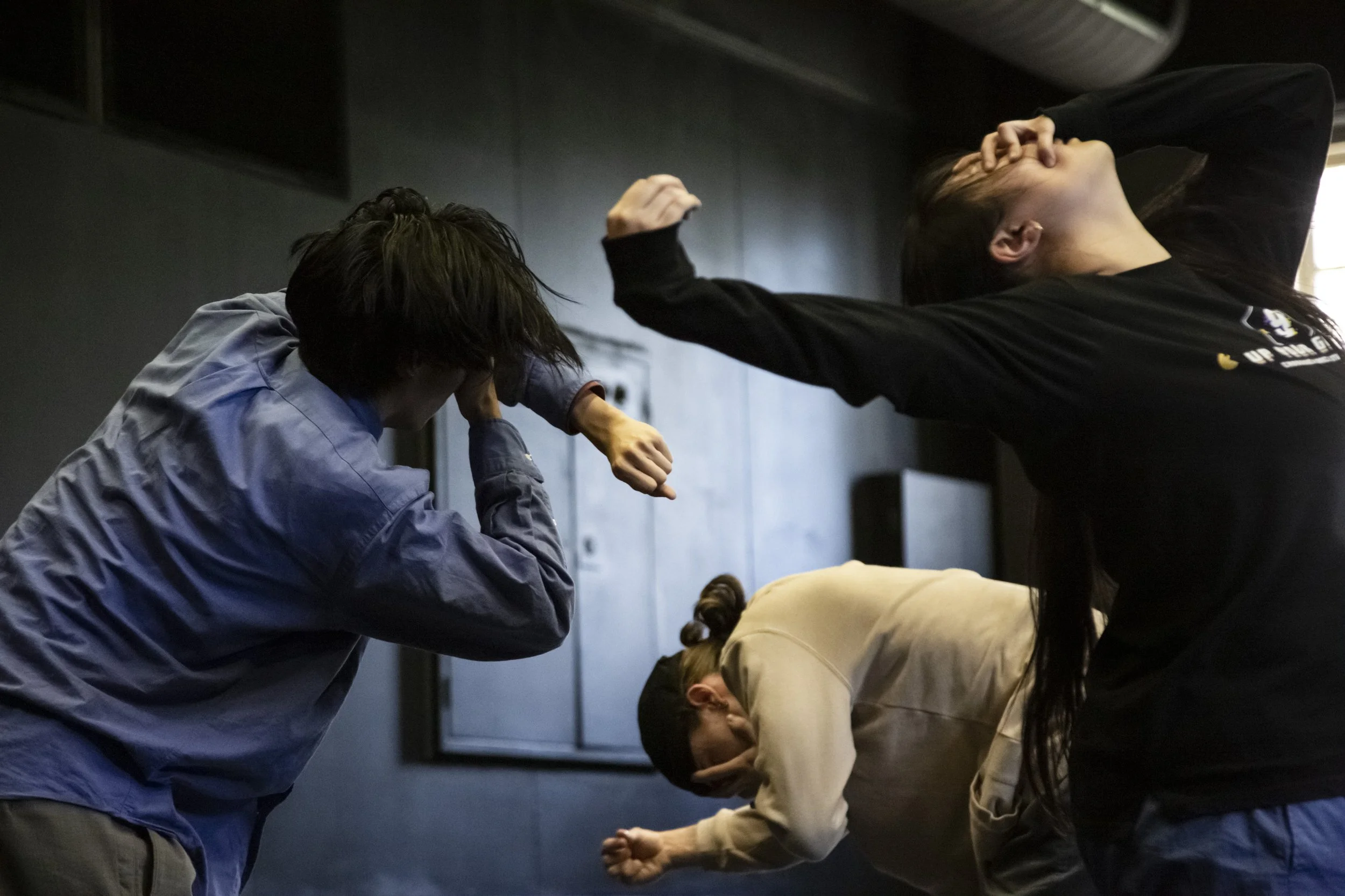 Synergy Styles Image 2.jpg