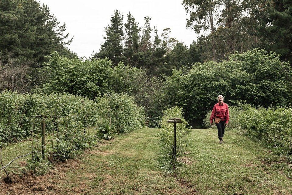 Who's coming to Trailgraze at Plump Berries this weekend?
Peek around the patches and distillery with us, then enjoy our special tasting menu. Be among the first to taste Gooseberry Liqueur batch 01/24, our three special release Autumnal fruit wines,