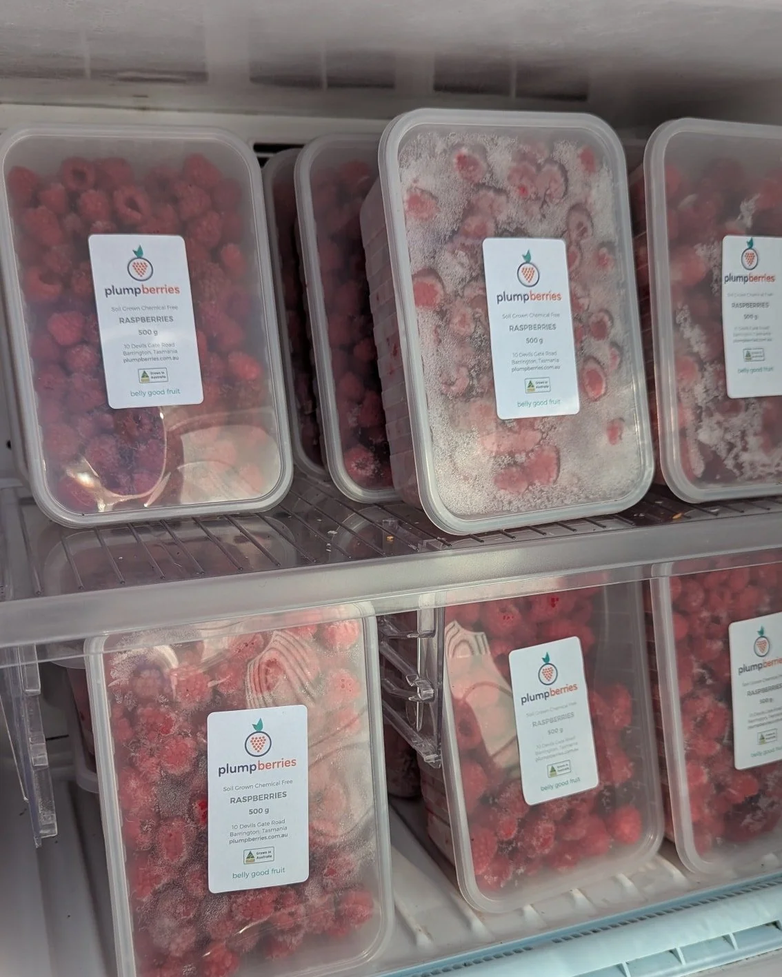 Frozen raspberries are still available in our self serve farm gate freezer.

Meanwhile pruning is still in progress and buds are waiting for Spring warmth.