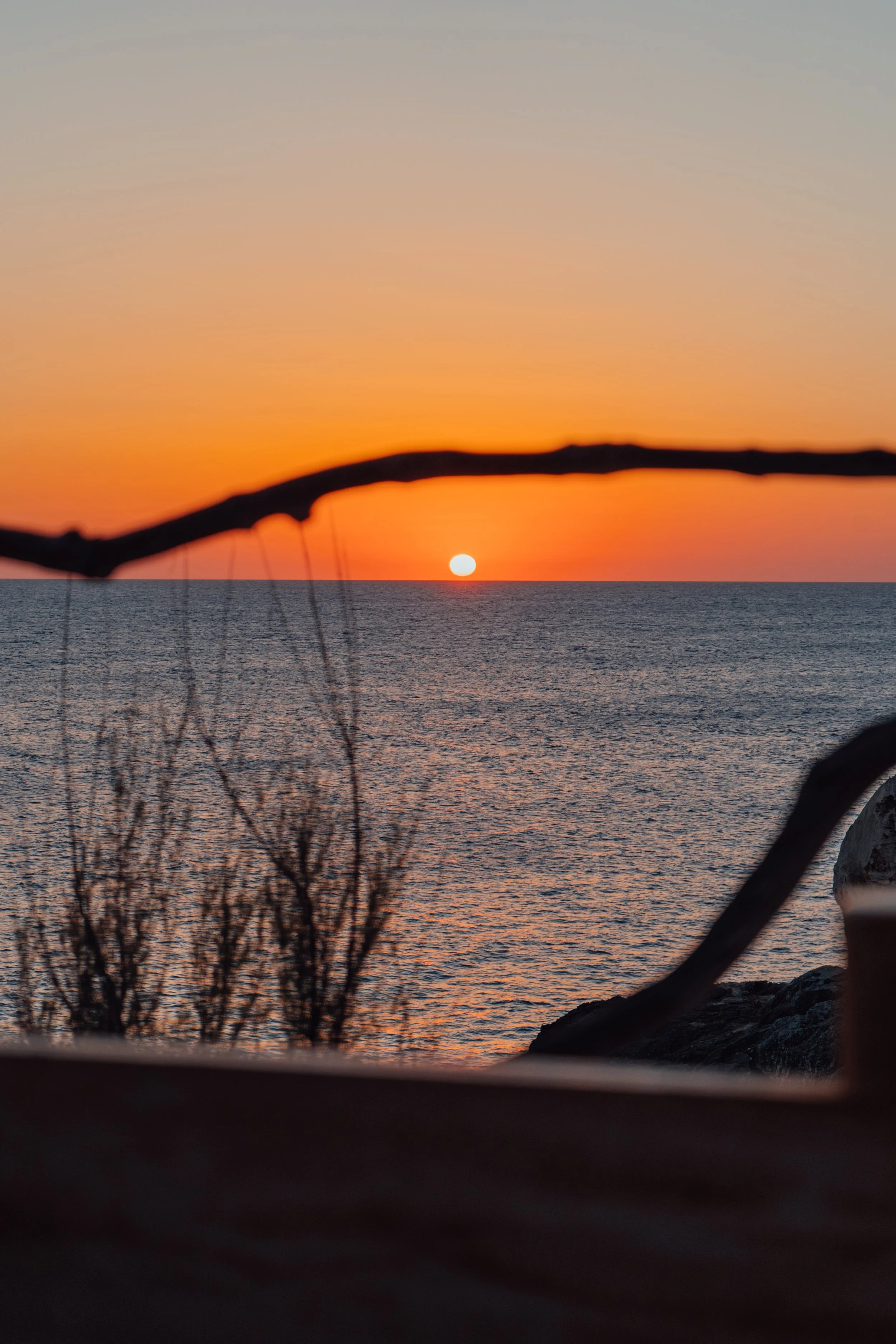 Atardecer sobre el mar con el sol en el horizonte, vista parcialmente bloqueada por una rama y ramas en primer plano.