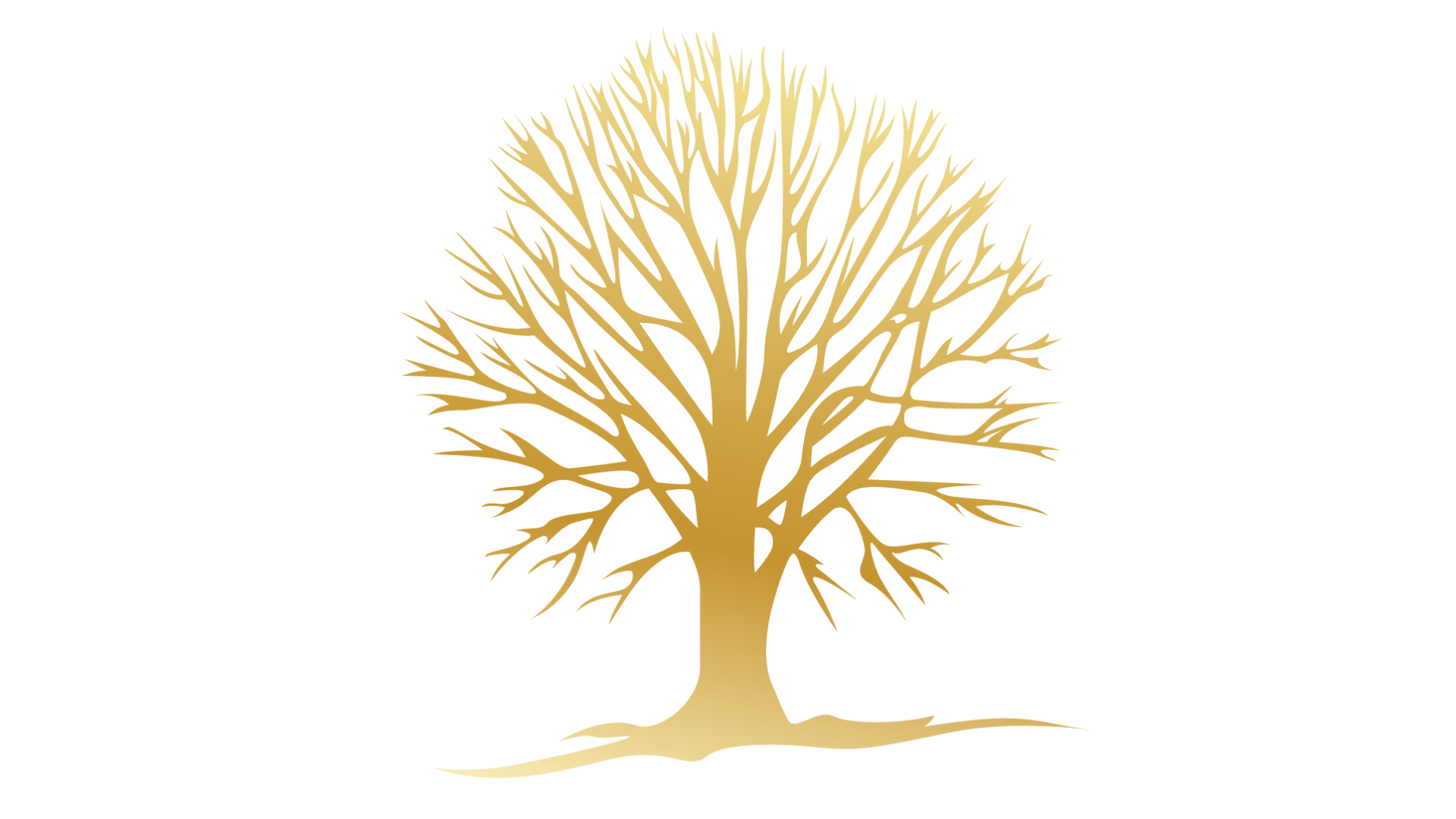 Tree Of Gold Gold Tree Wealth Advisory