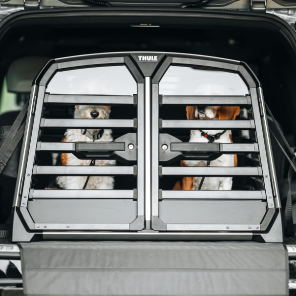 Allax-double-L-compact-two-dogs.png