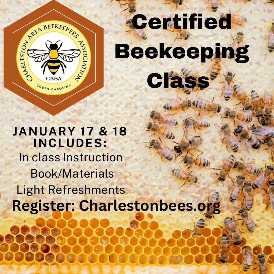 Beekeeper course.jpg