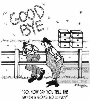 Dorothy Blechschmidt