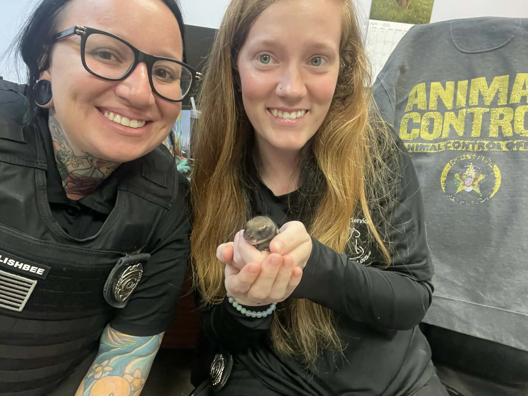 Animal Control Service Body About 4 — Bayou Animal Services Animal Services & Adoption Center