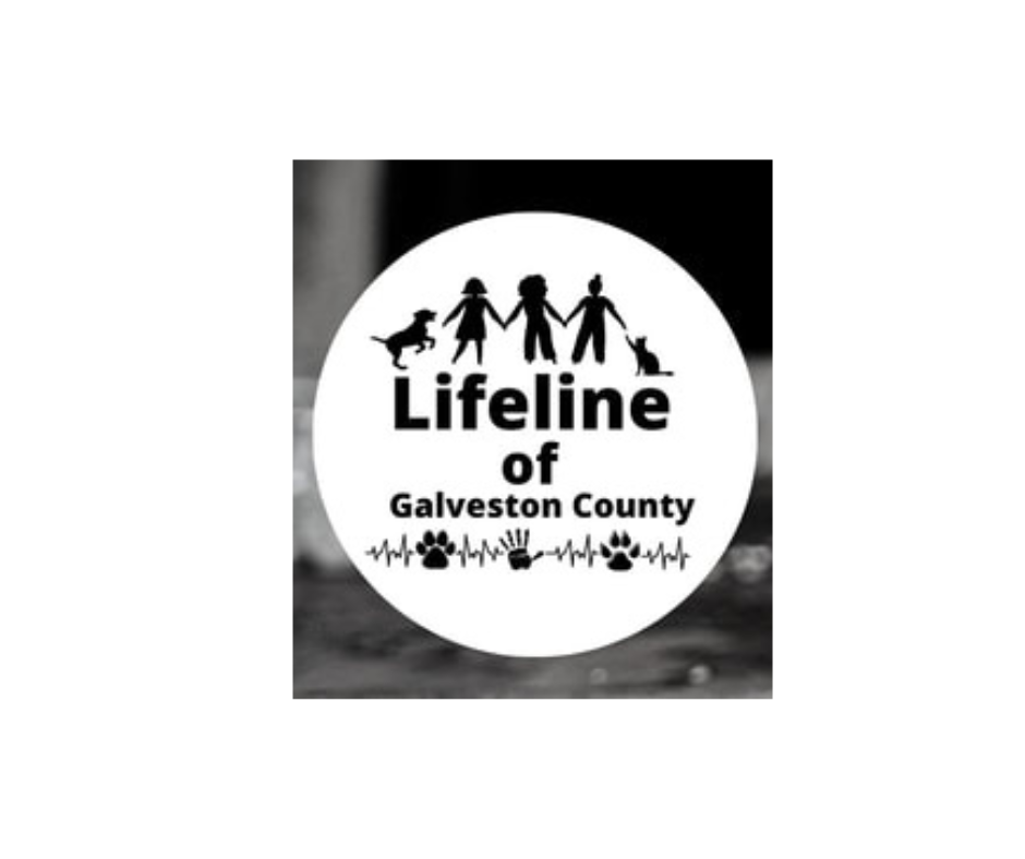 general-1-bayou-animal-services-animal-services-adoption-center