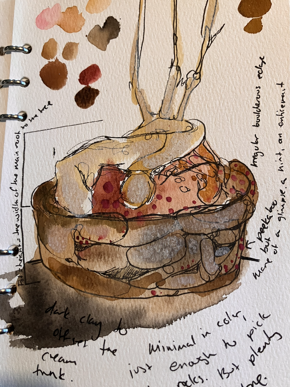 Working watercolor and ink sketch of a bonsai pot, with color swatches and handwritten surface notes
