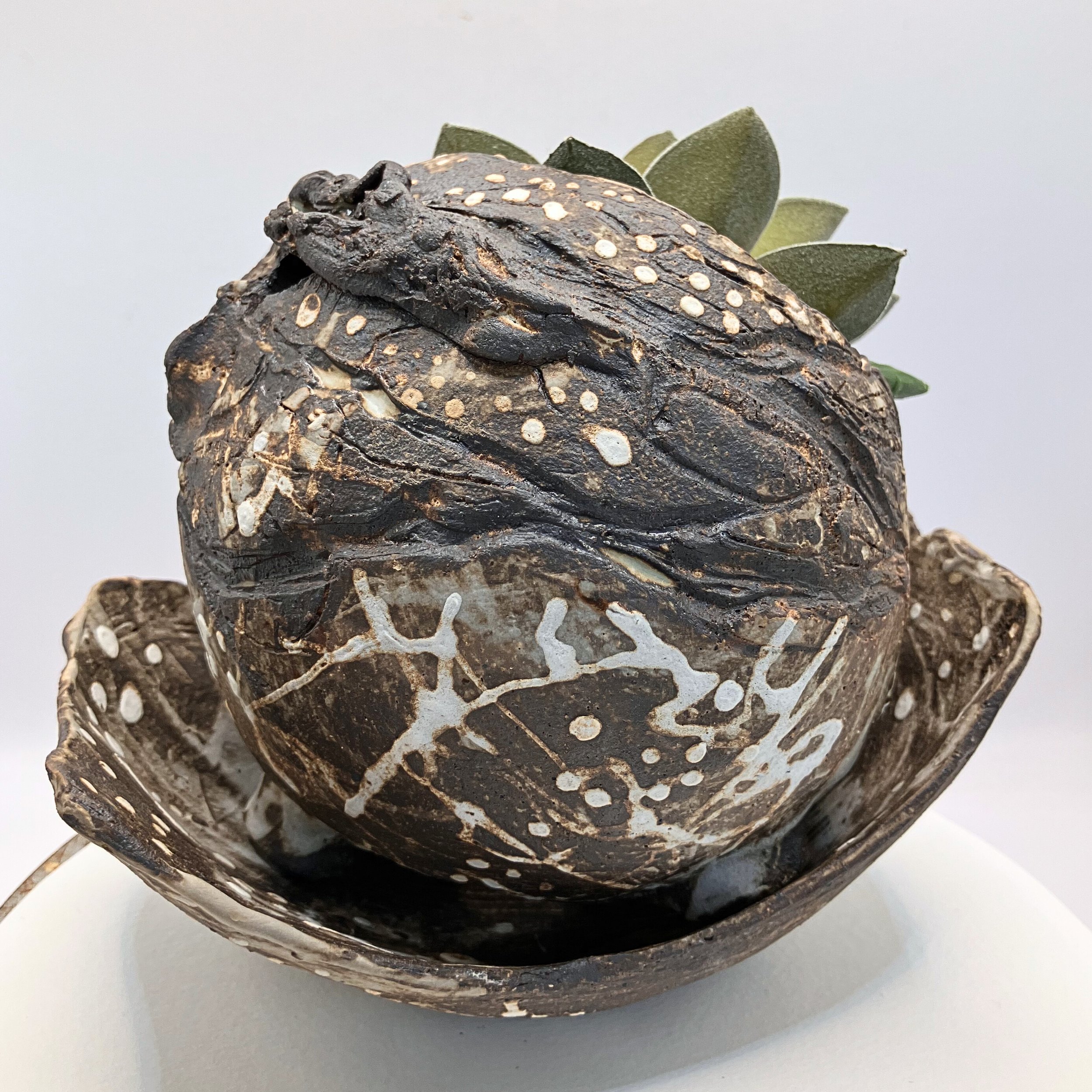 TNC124_2 - Edited.jpg