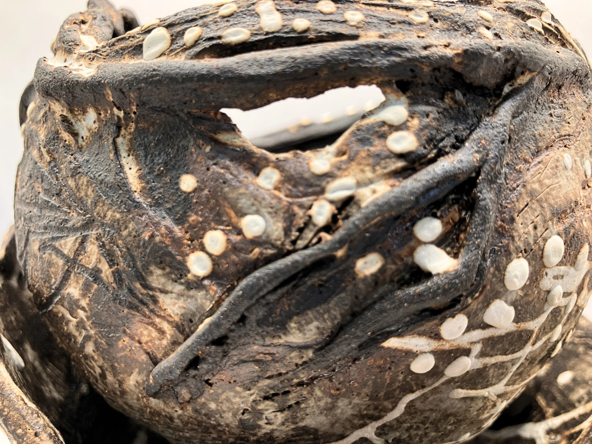 TNC127_2 - Edited.jpg