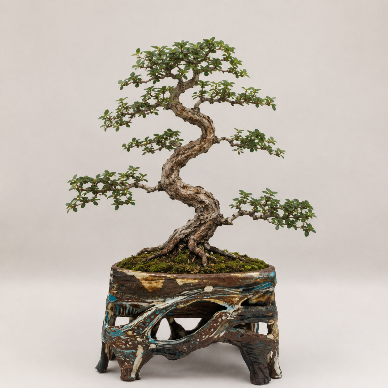 By the Water ceramic planter with branch-shaped cutouts, imagined with a Chinese elm bonsai.