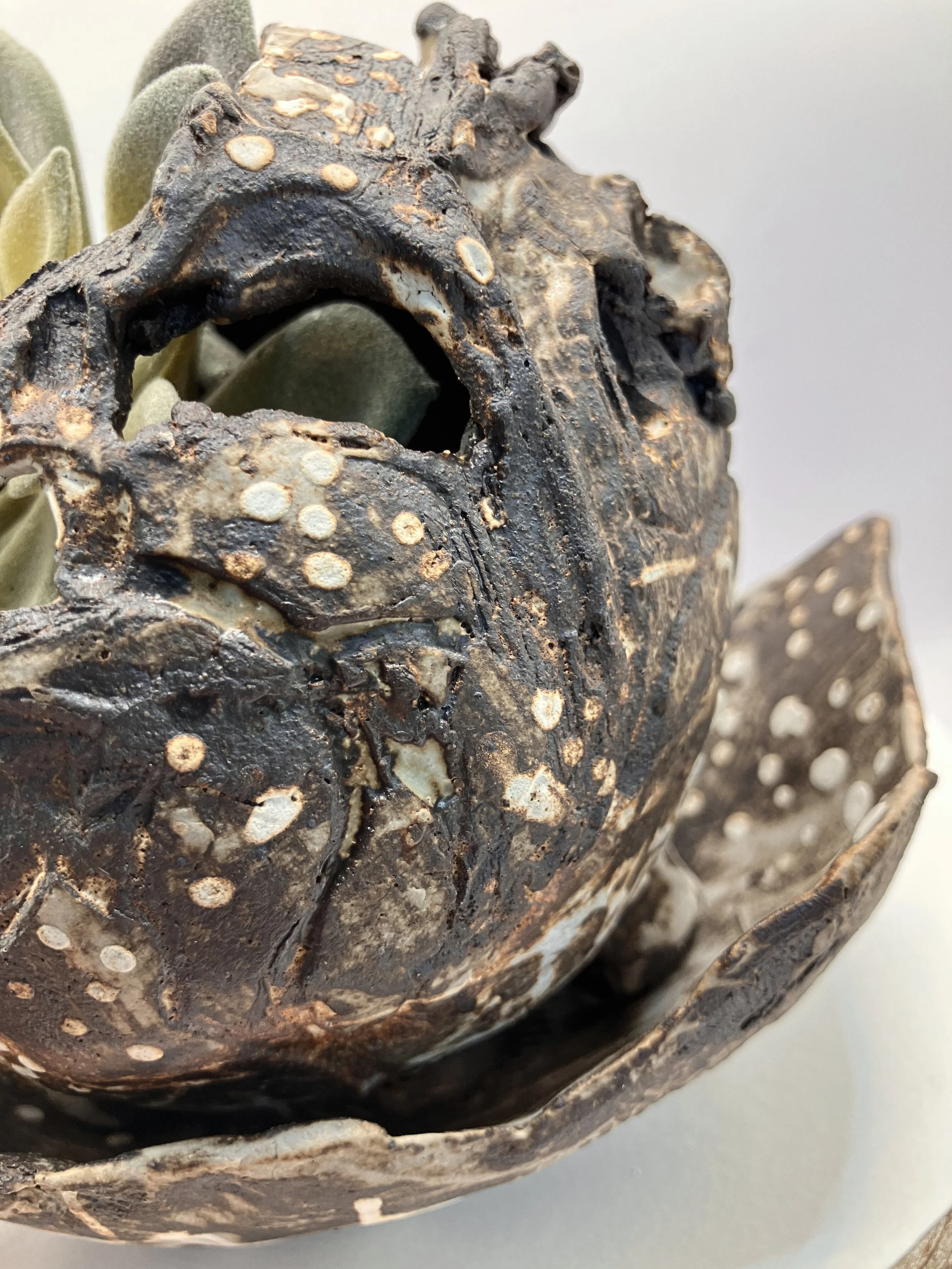 TNC124_3 - Edited.jpg