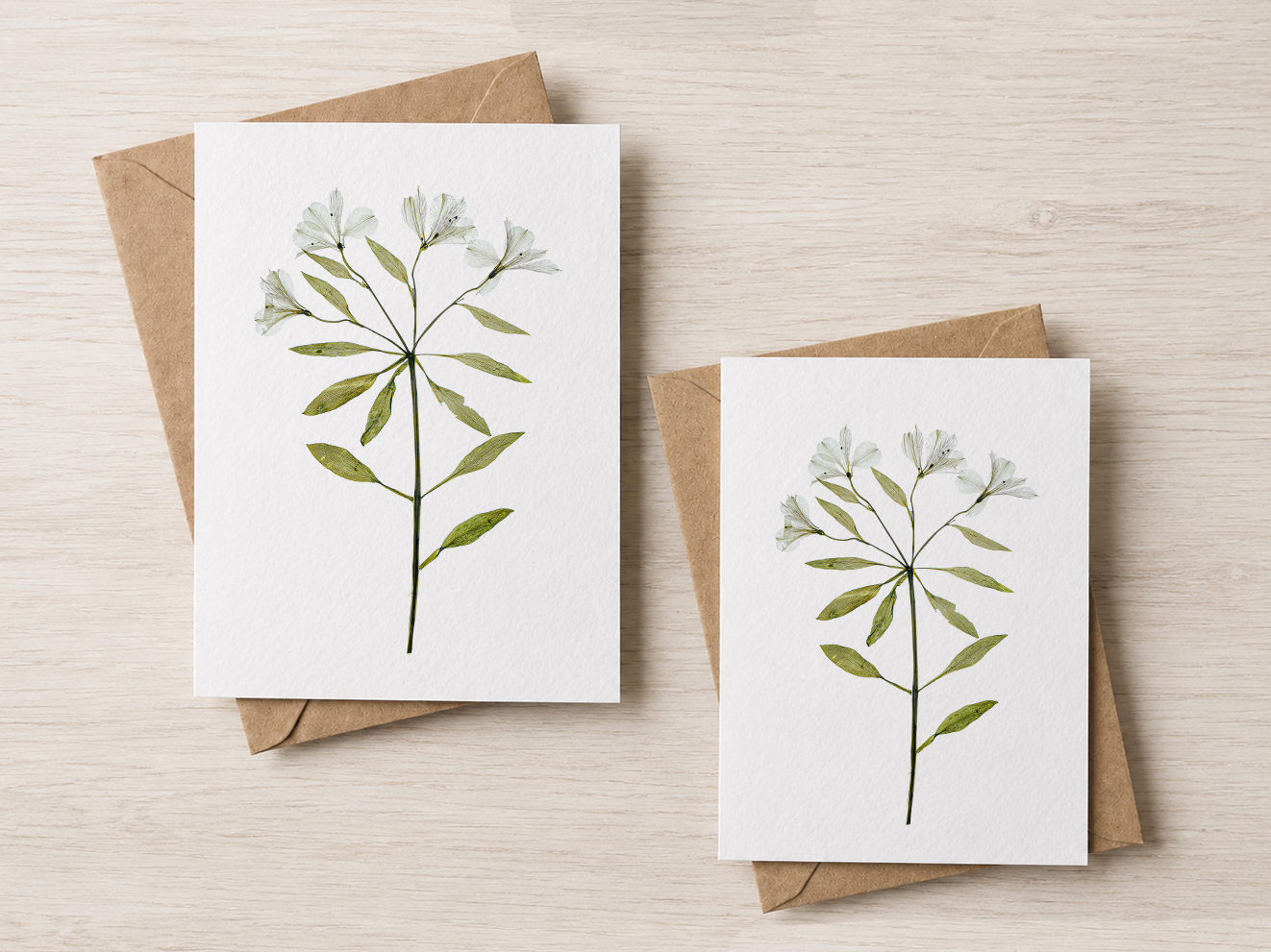 No 25 (card mockup) copy.png