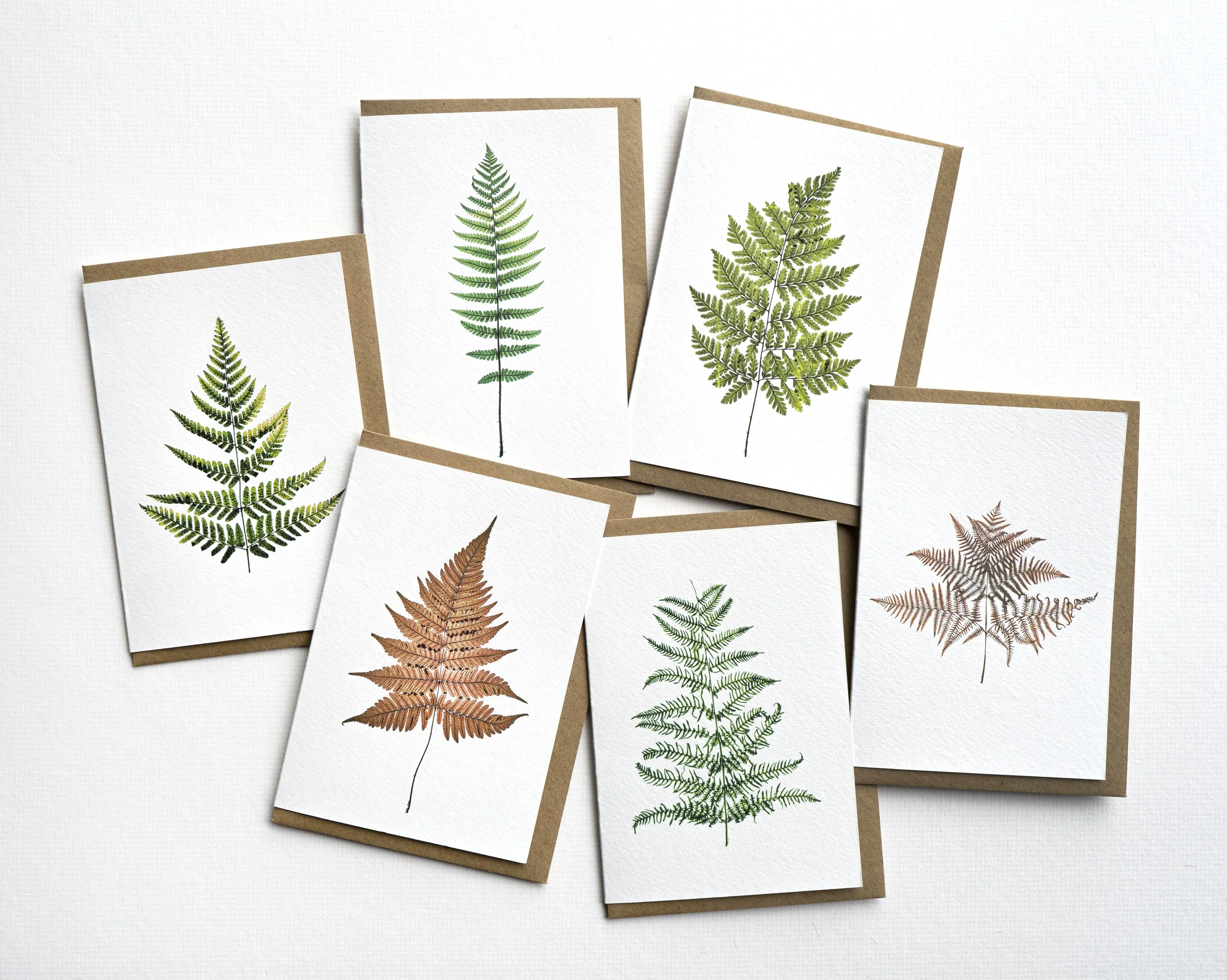 The FERN collection