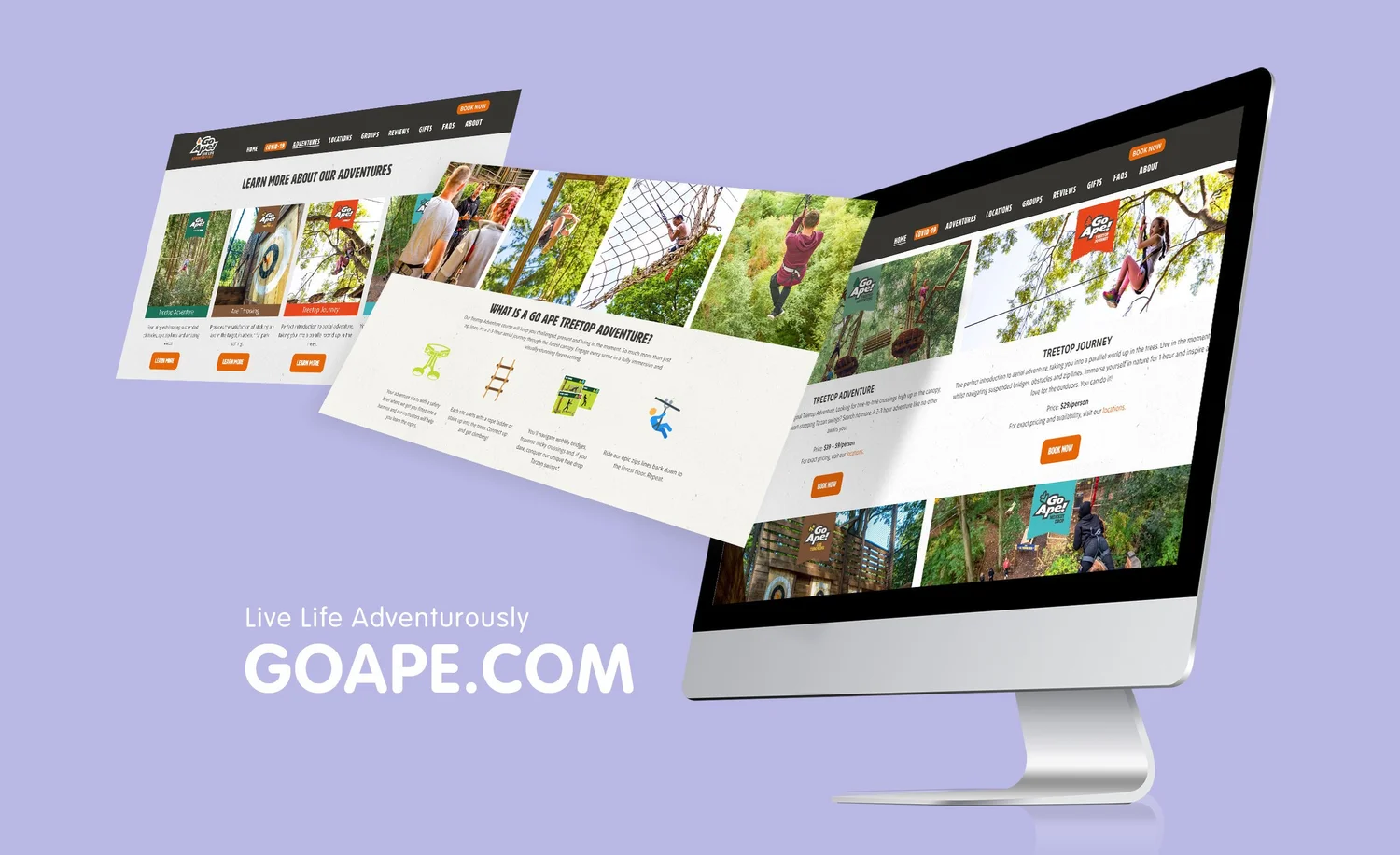 Websites — Jessie Hsu