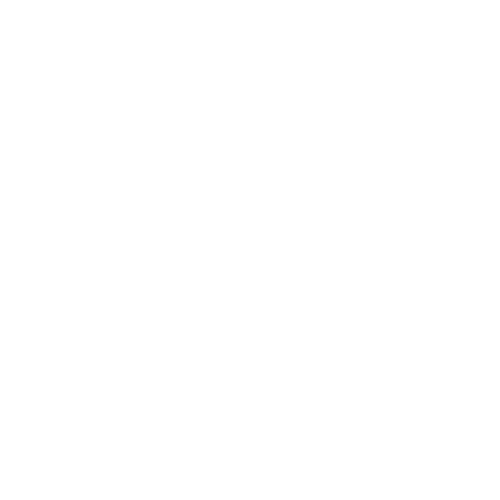 SHORELINE IMAGERY