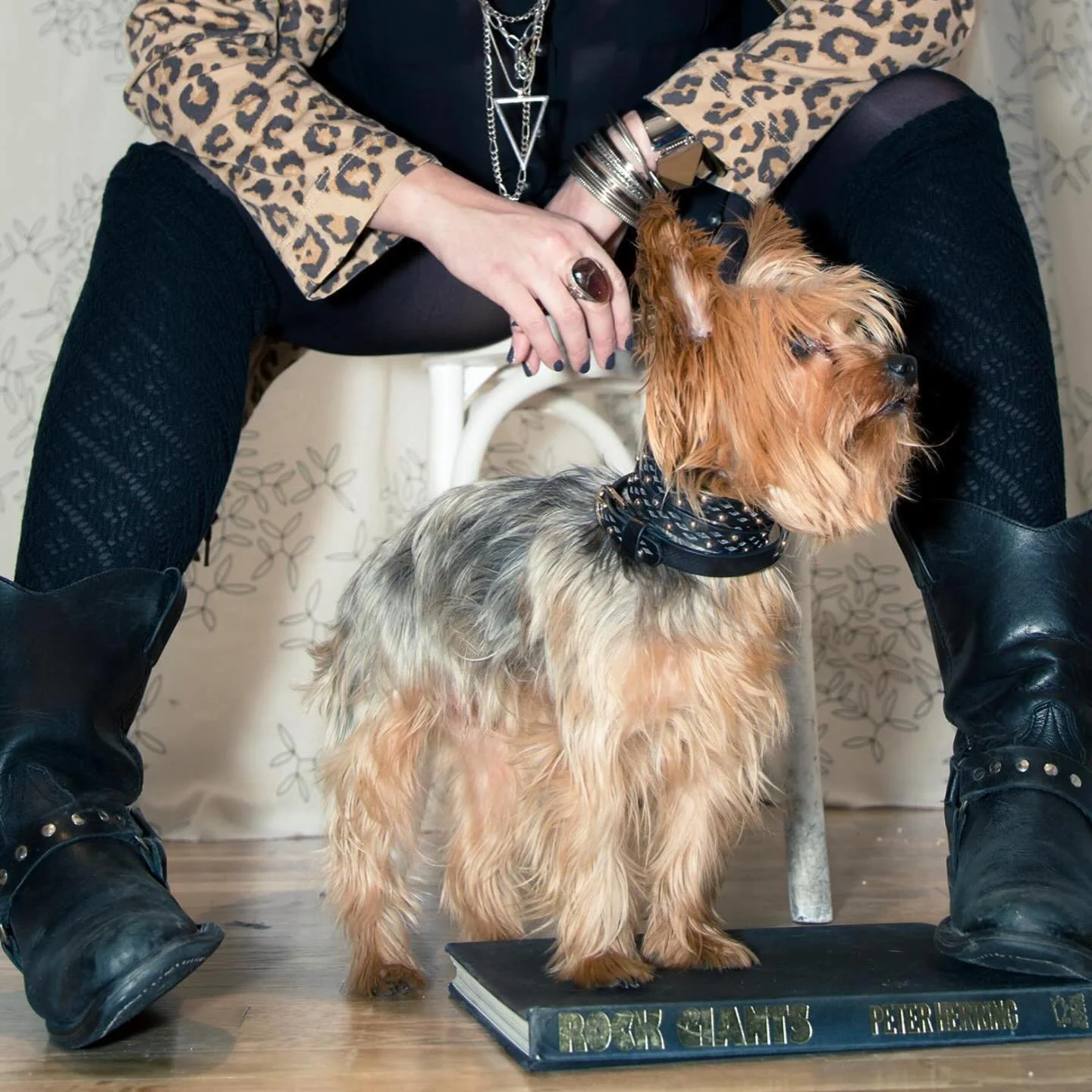 Oscar 🤍
So deeply loved
November 28 2008 &bull; March 8 2026