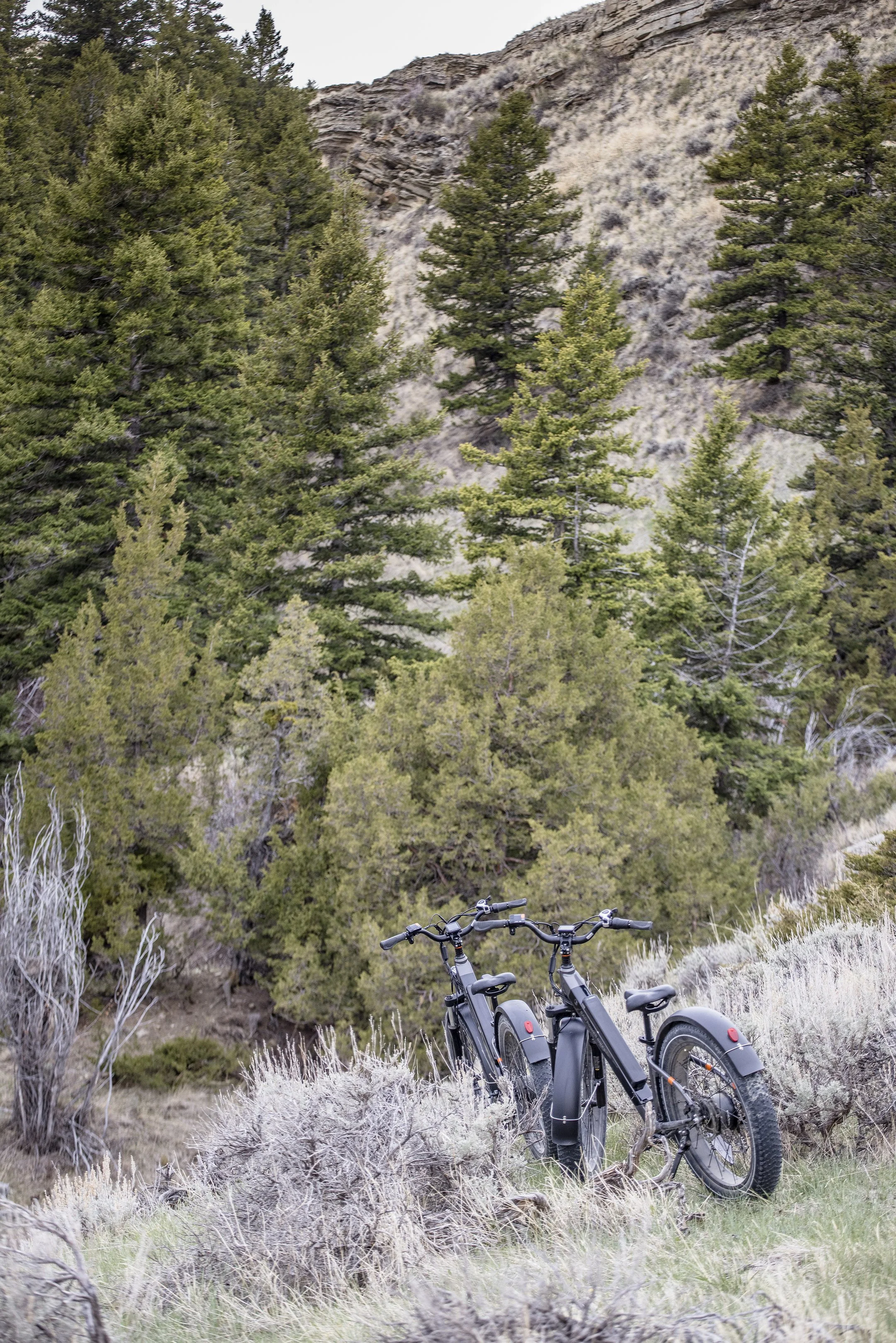 Gardiner EBike Rentals