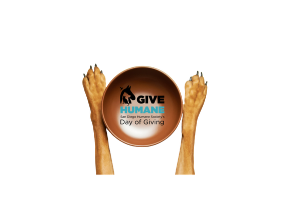 Two hands holding a bowl with the text 'Give Humane San Diego Humane Society's Day of Giving' fundraiser