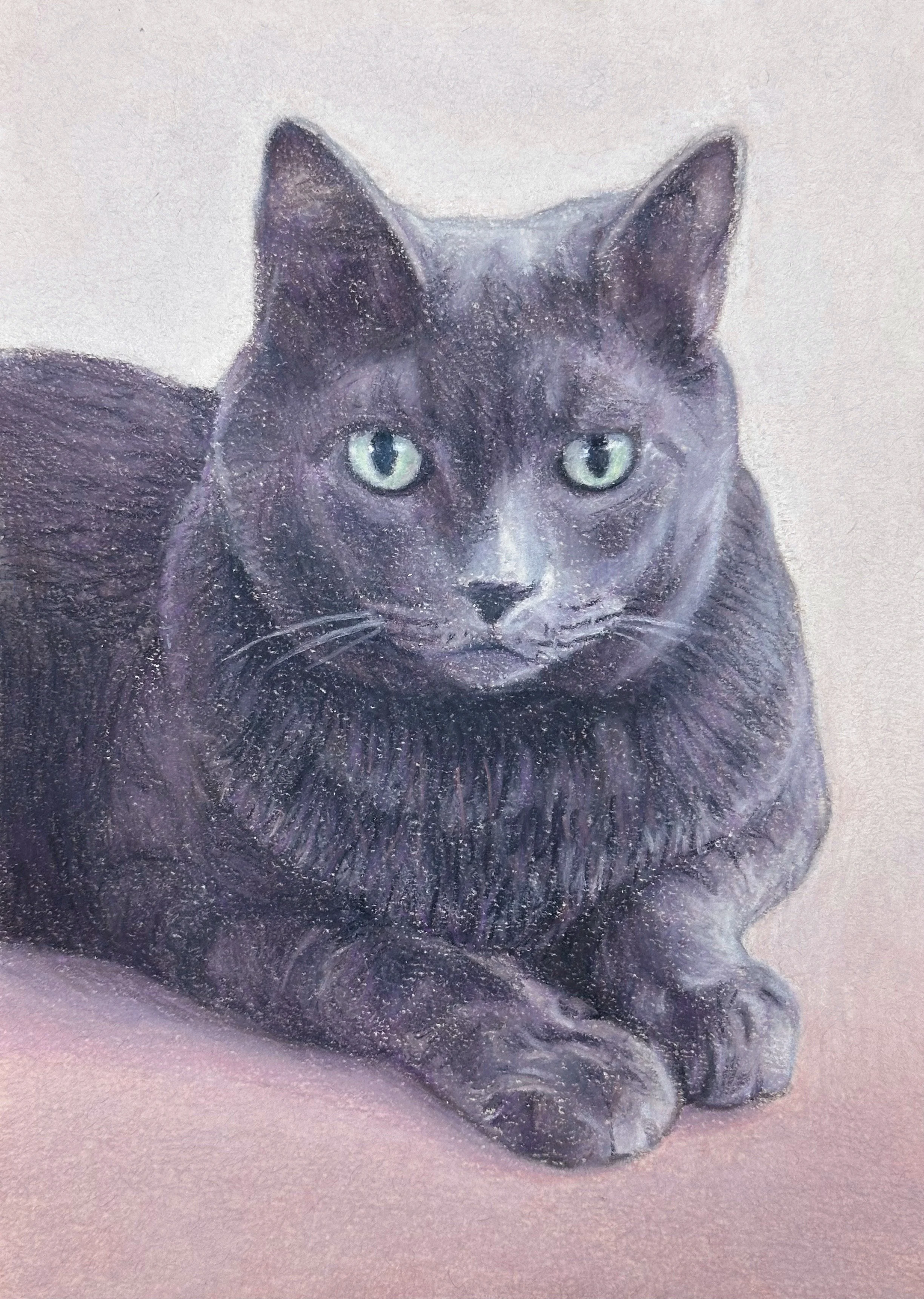 Pet Portrait #6