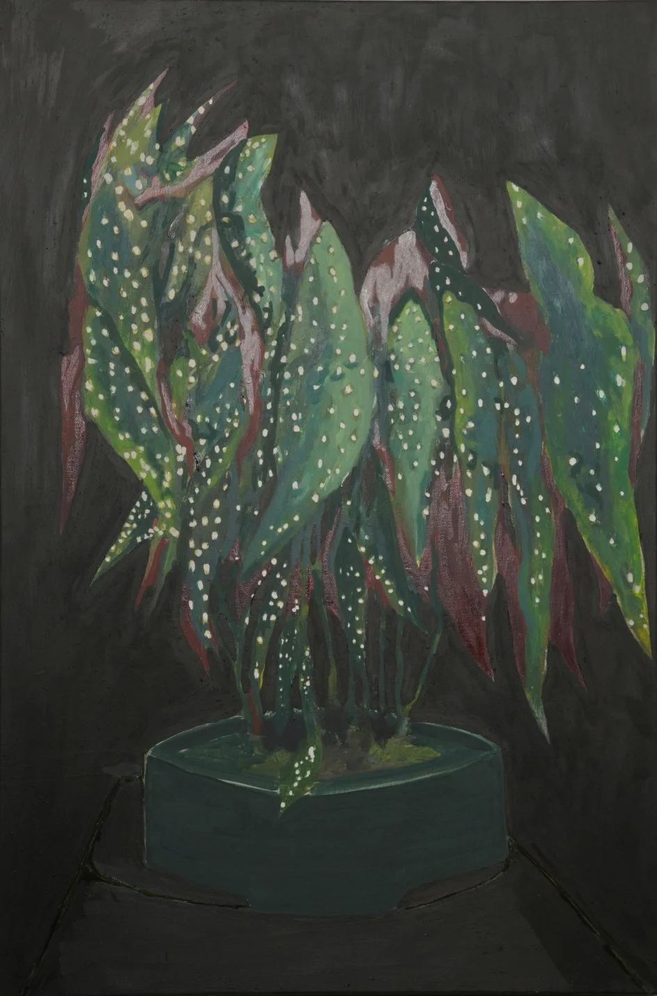 'Polka Dot Begonia'
Acrylic, Oil, Plaster, Diatomaceous Earth on Canvas
24" x 36"
2023/2025