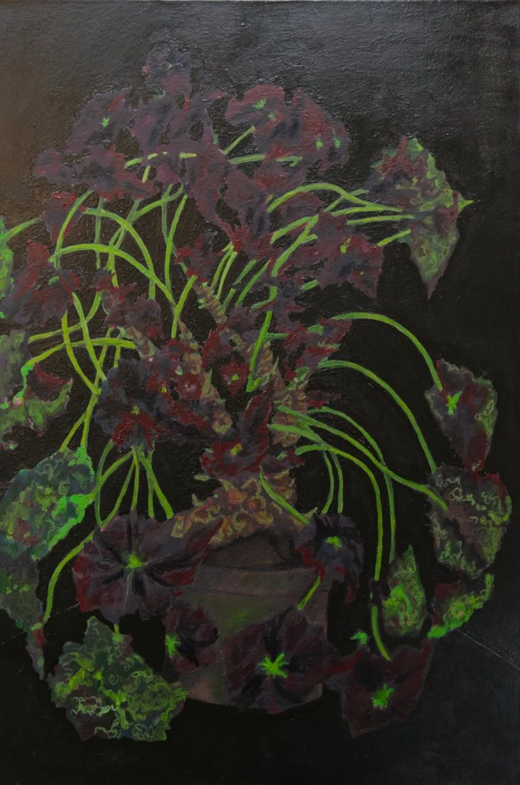 'Black Begonia'
Acrylic, Oil, Plaster, Diatomaceous Earth on Canvas
24" x 36"
2024/2025