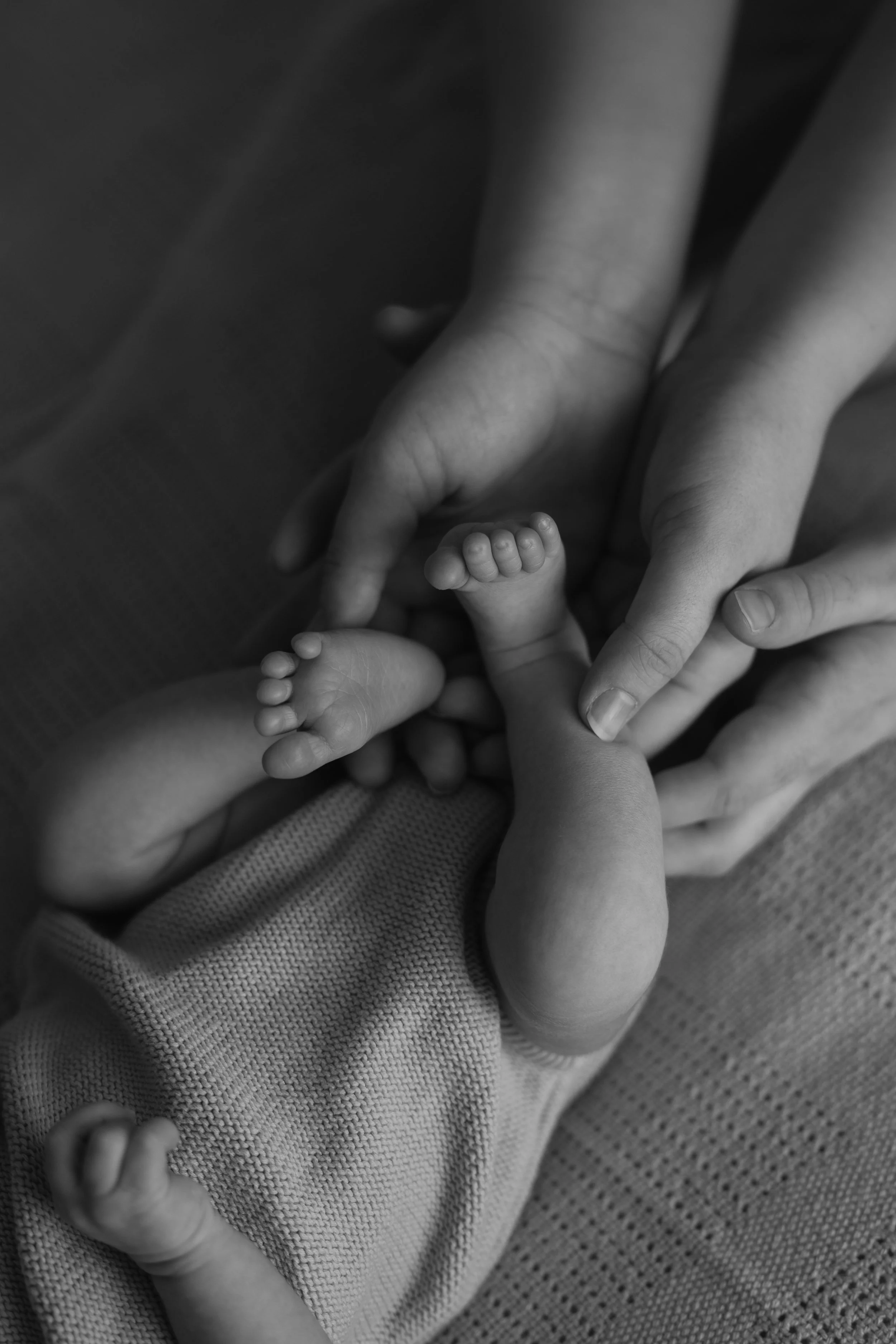 nadinelorettaphotography_jude_030.jpg