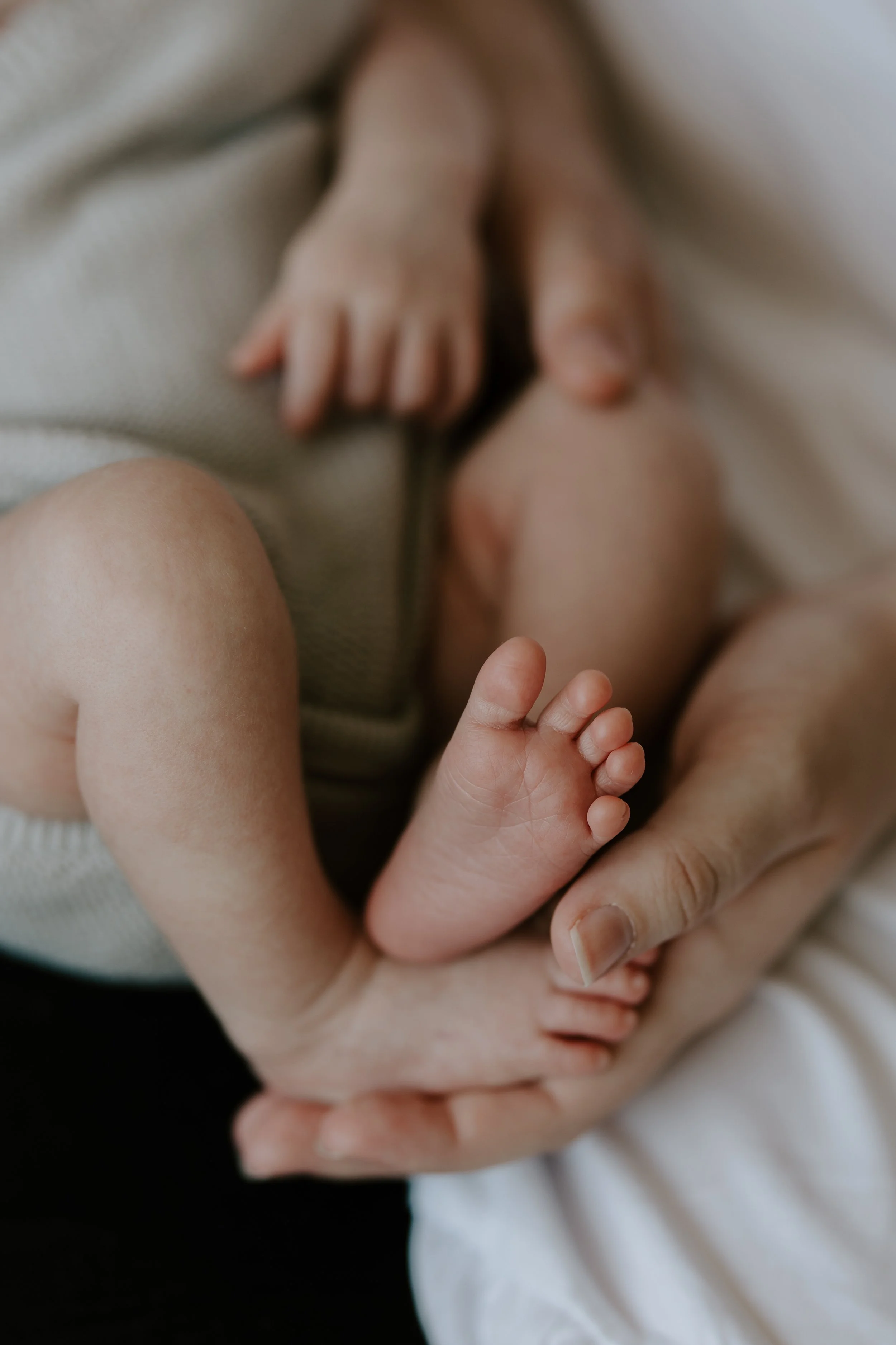 nadinelorettaphotography_jude_056.jpg