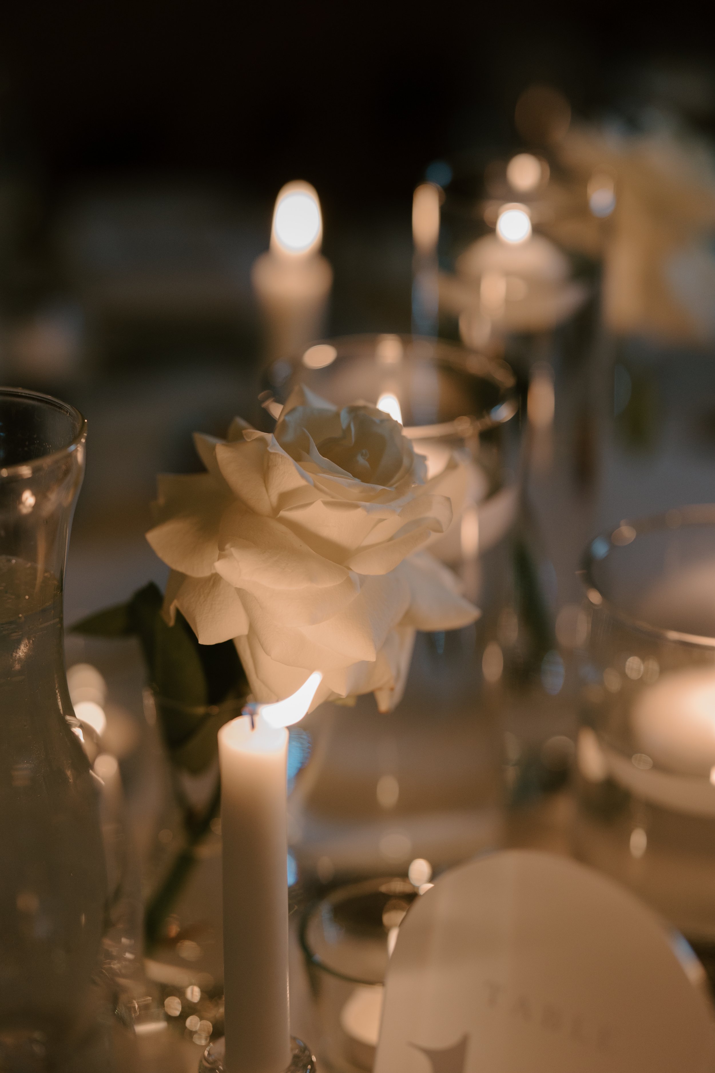 nadinelorettaphotography_c+c-previews_082 (1).jpg