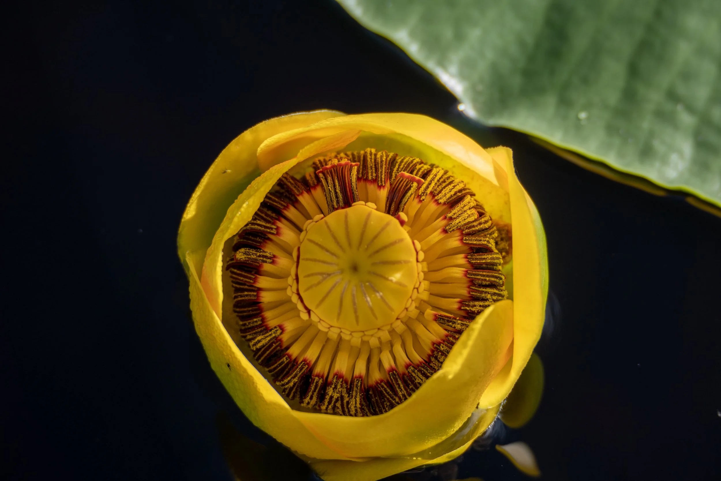 Upload-39.jpg