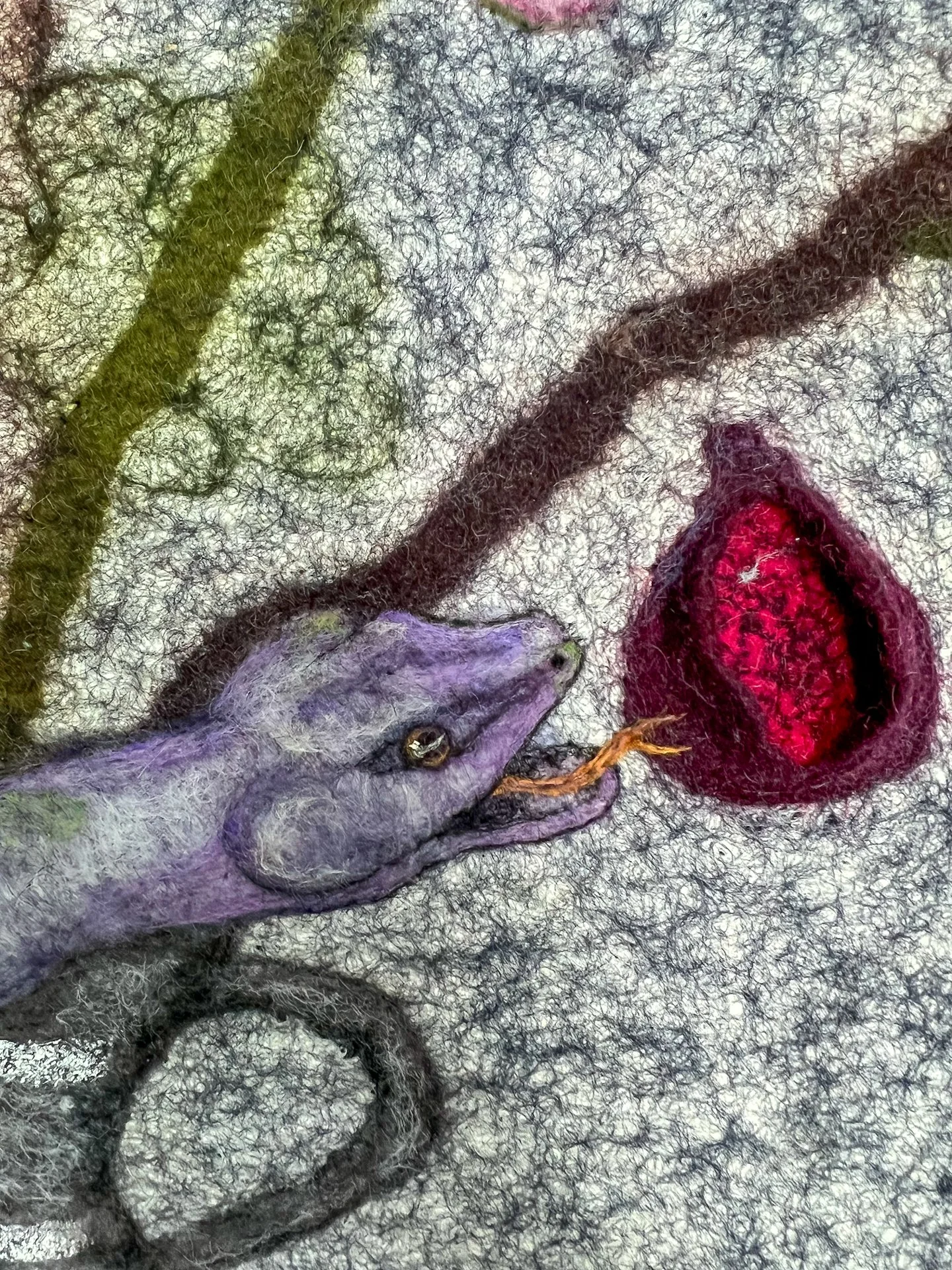 OSF close up on open mouth and fig-1.jpg
