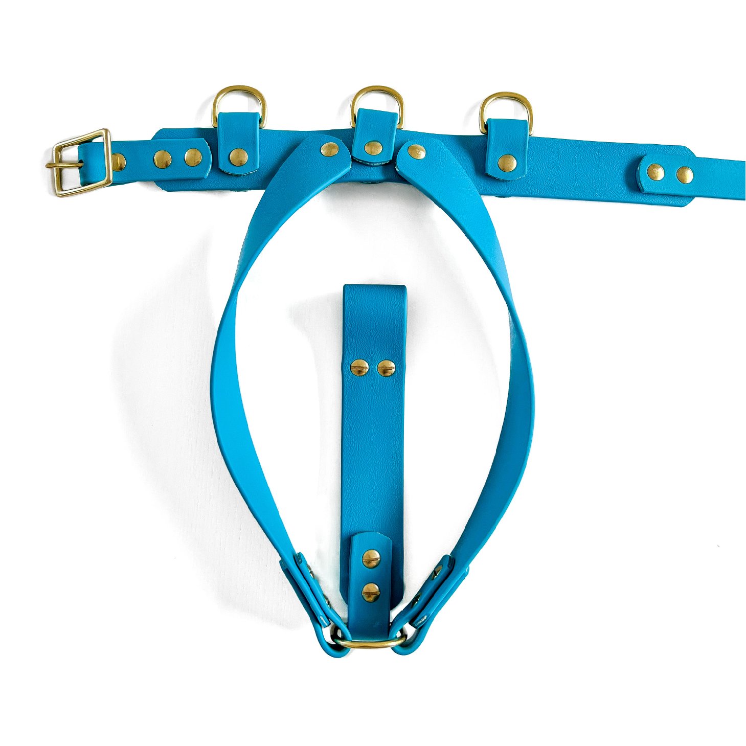 TailsForWonderland_Harness_FlatFront_sq .jpg